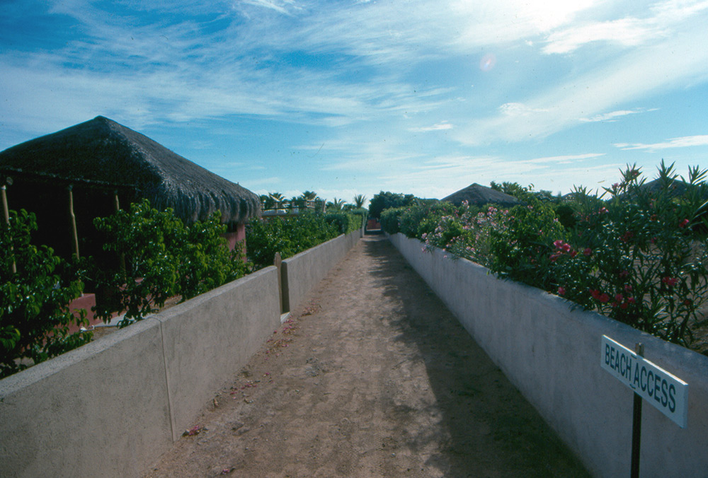 Cabo Pulmo Beach Access