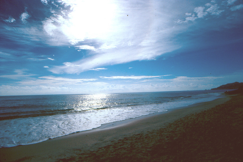 Cabo Pulmo Beach