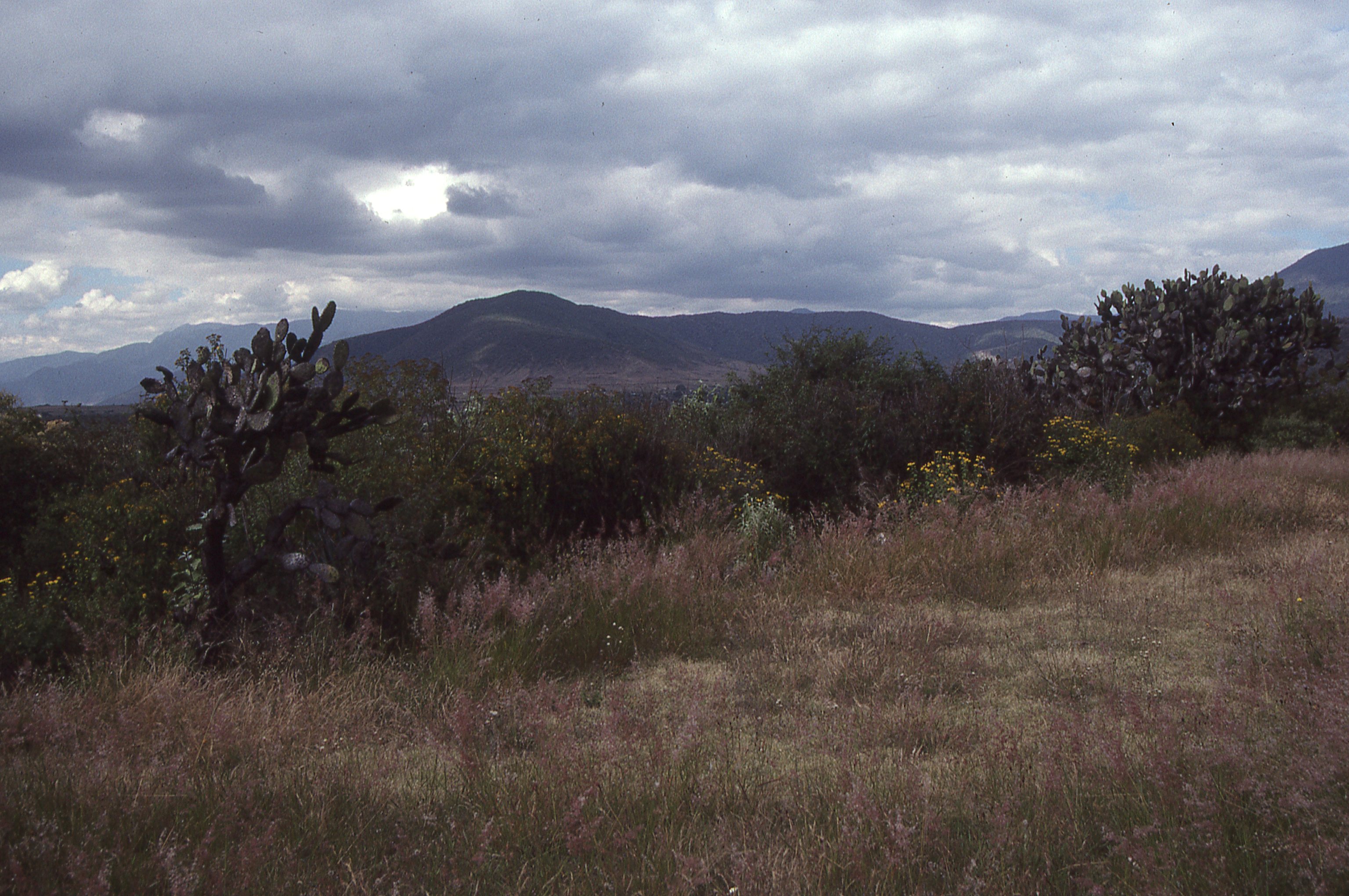 img047.jpg