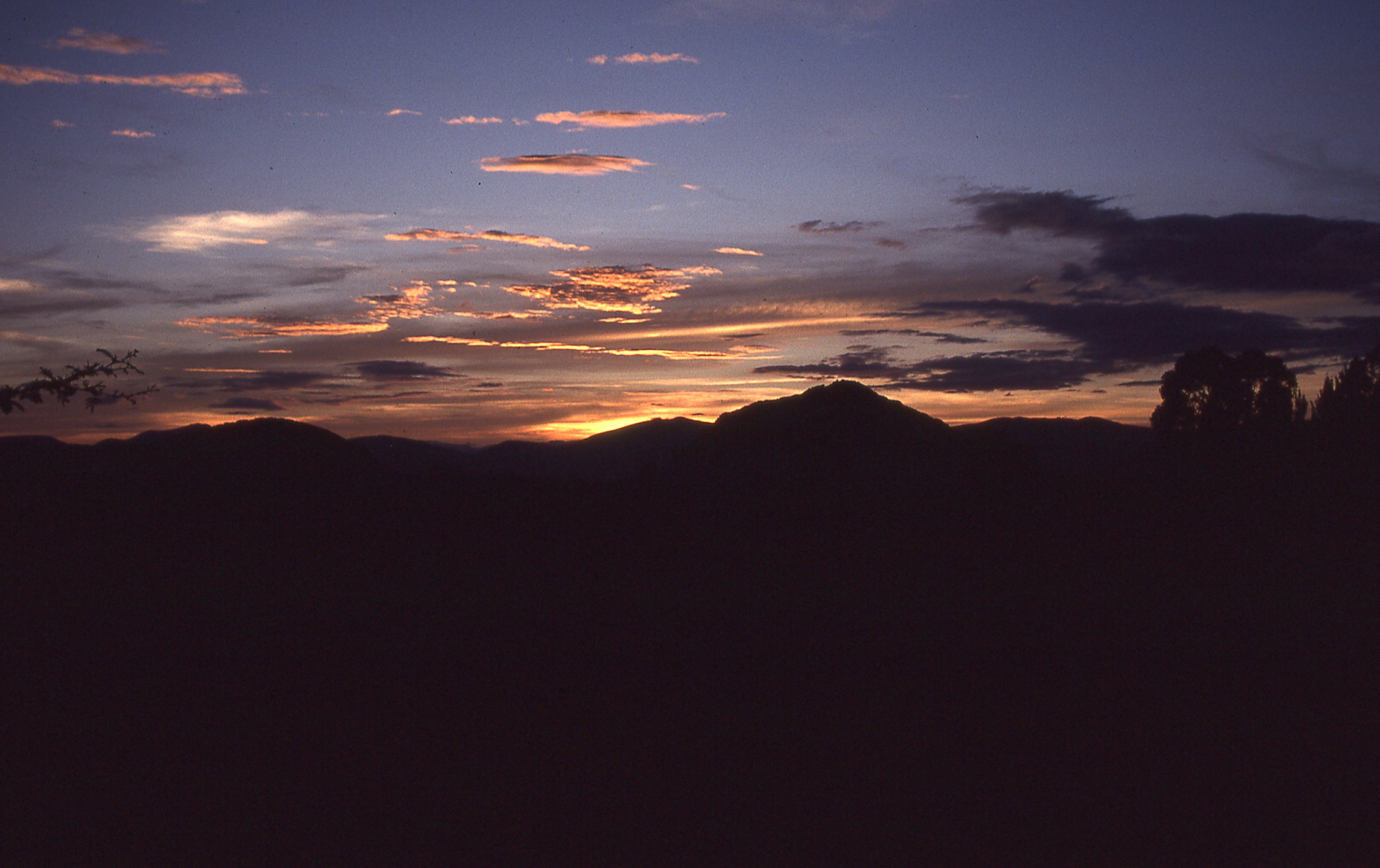 img054.jpg