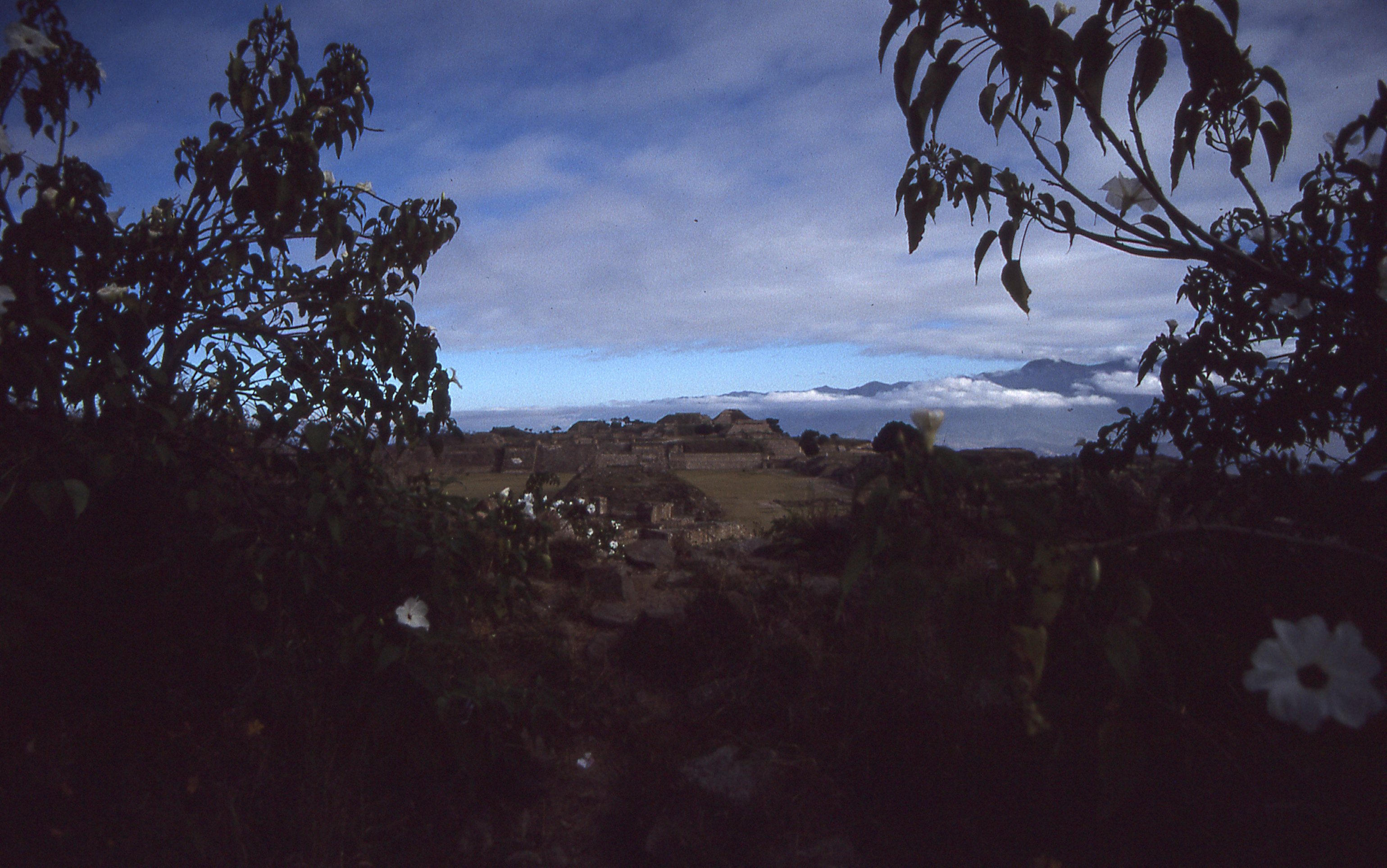 img060.jpg