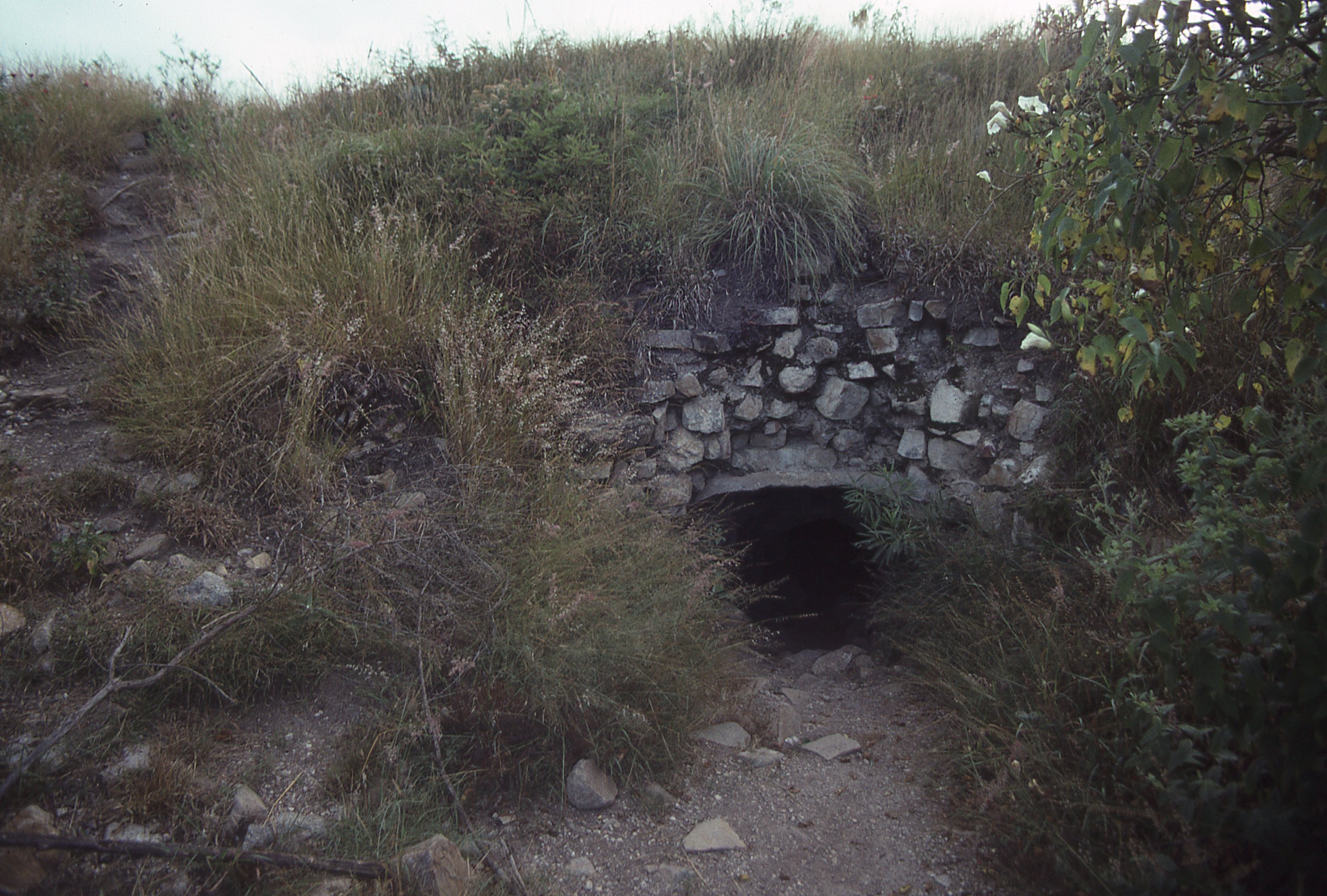 img063.jpg