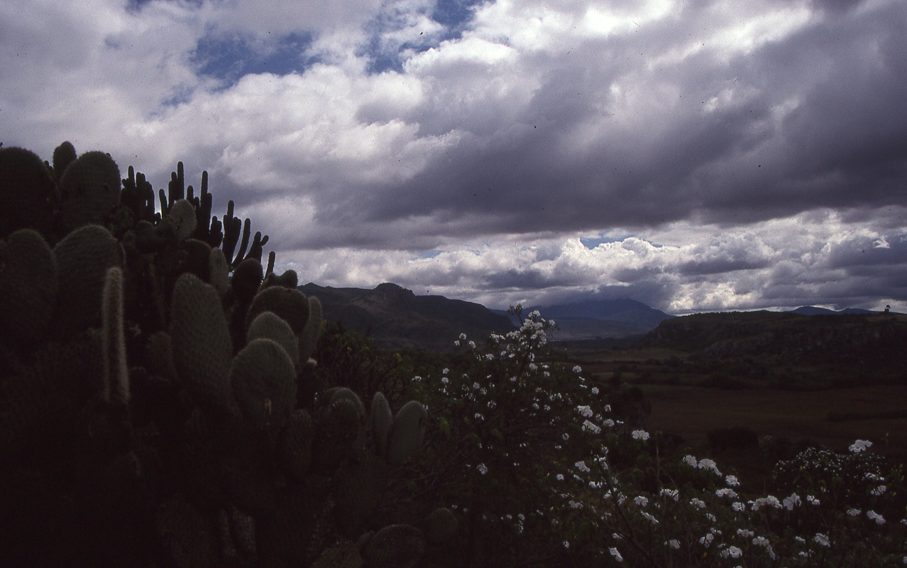 img115.jpg