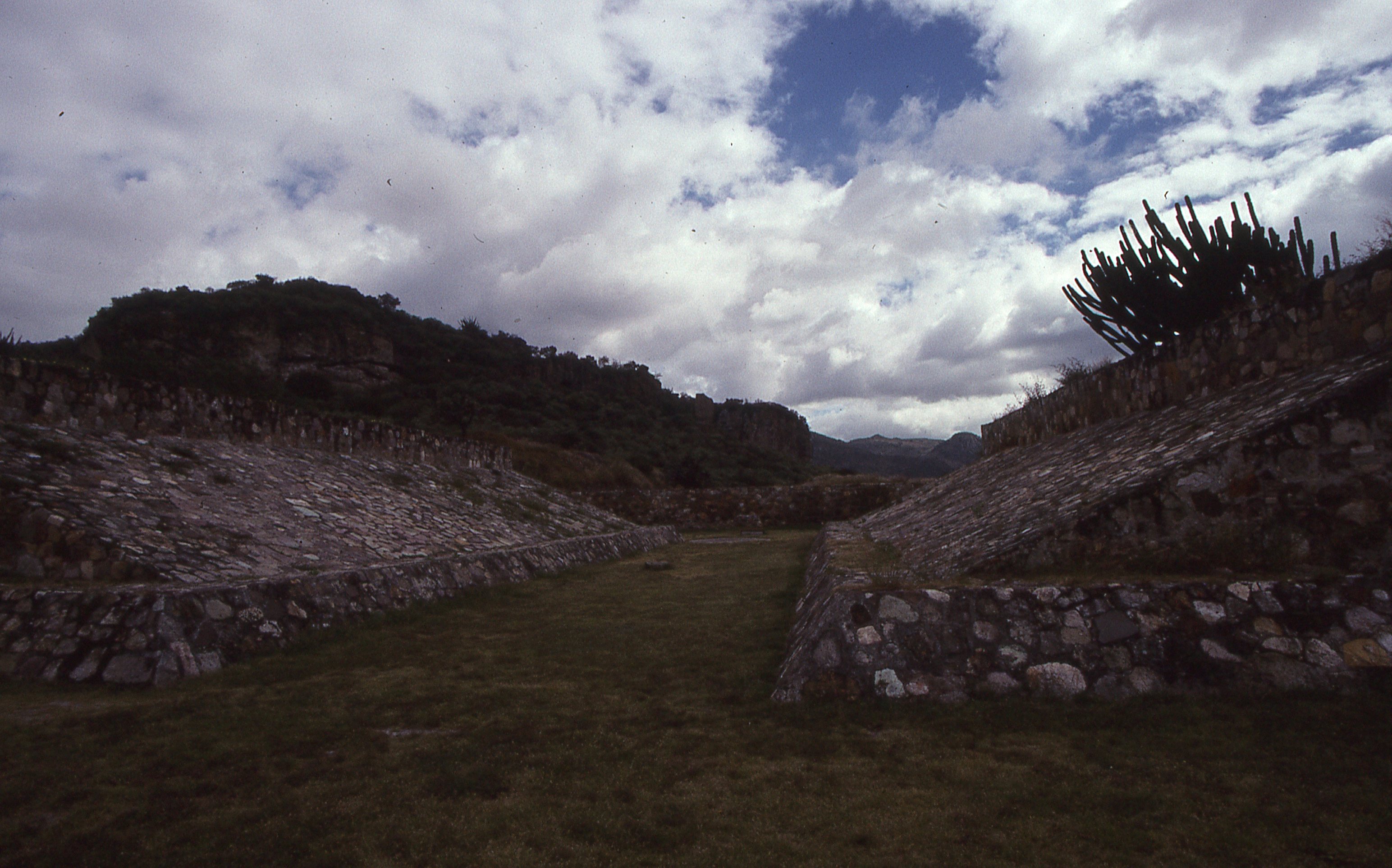img116.jpg