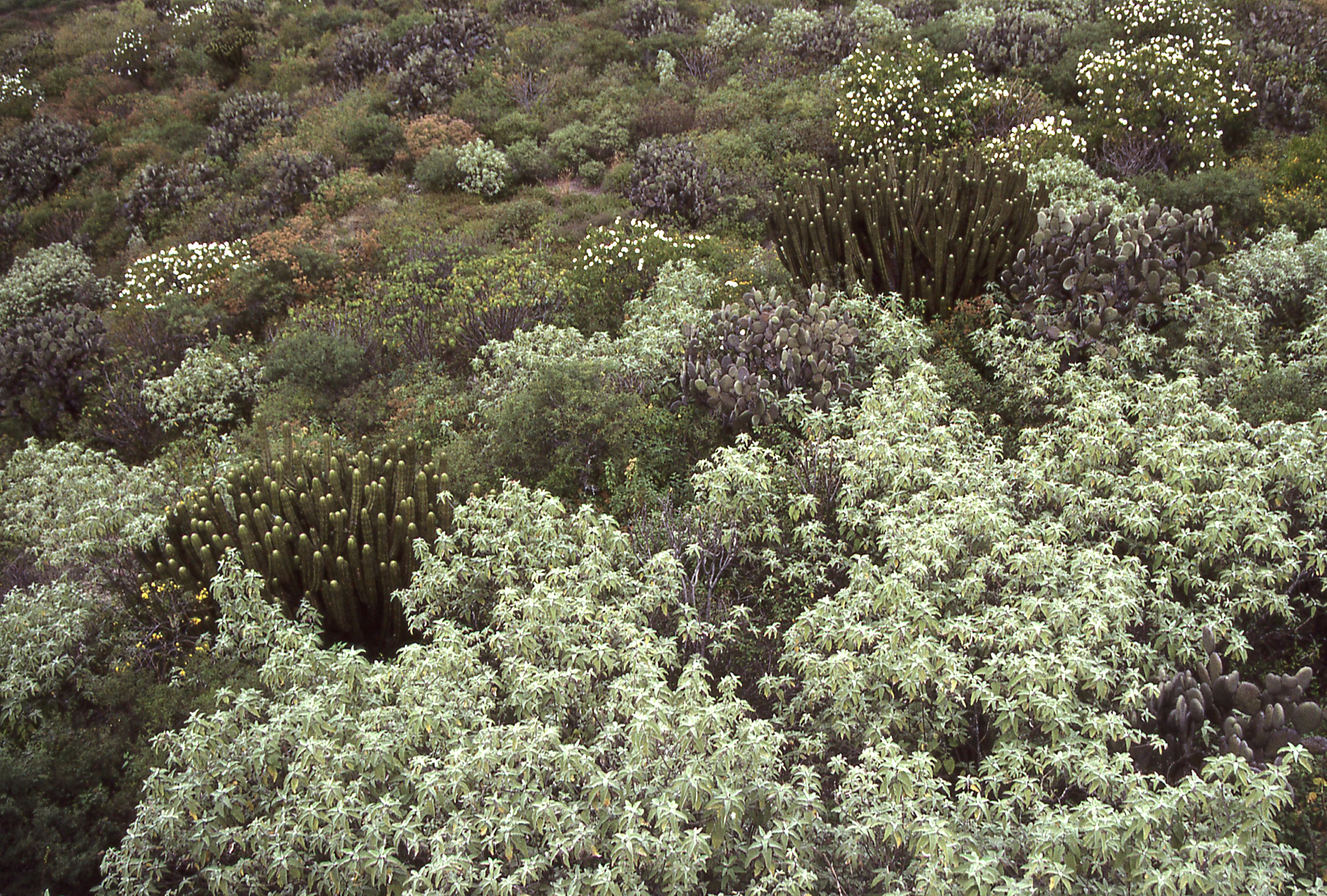 img120.jpg