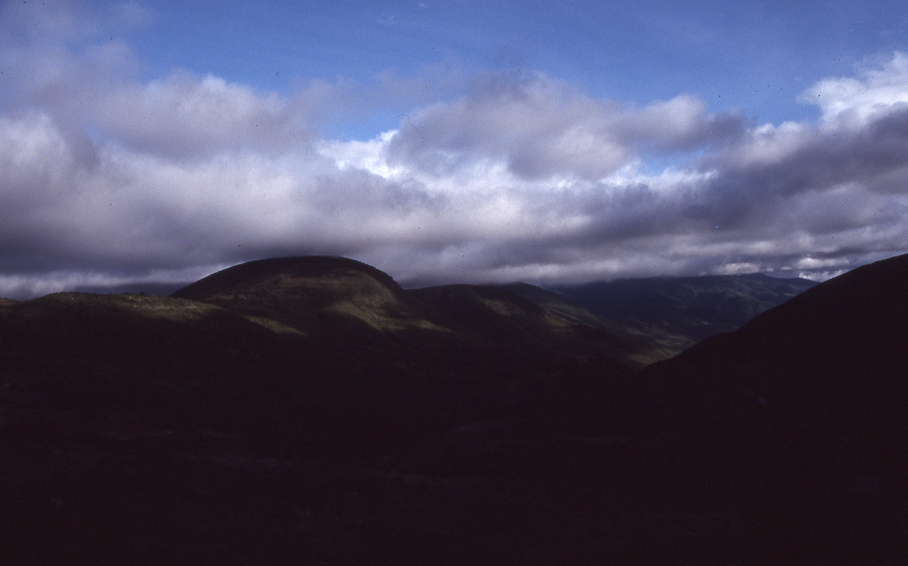 img133.jpg