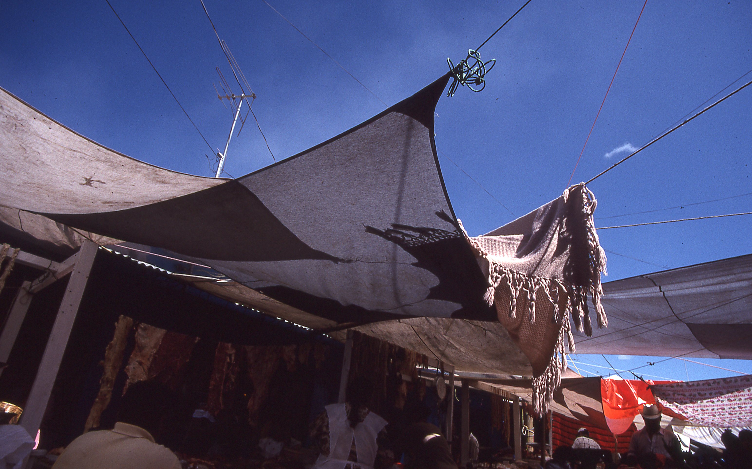img145.jpg