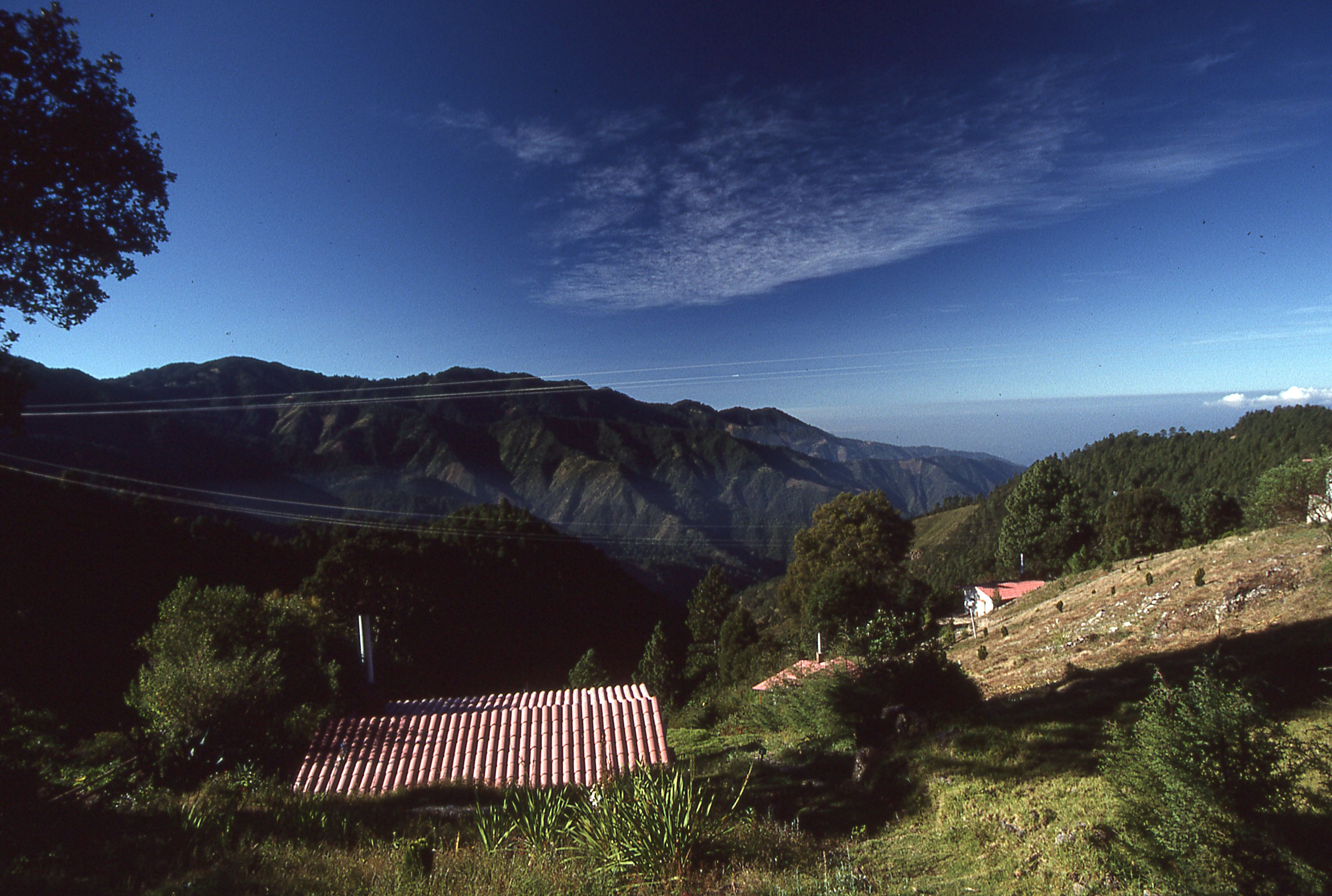 img177.jpg