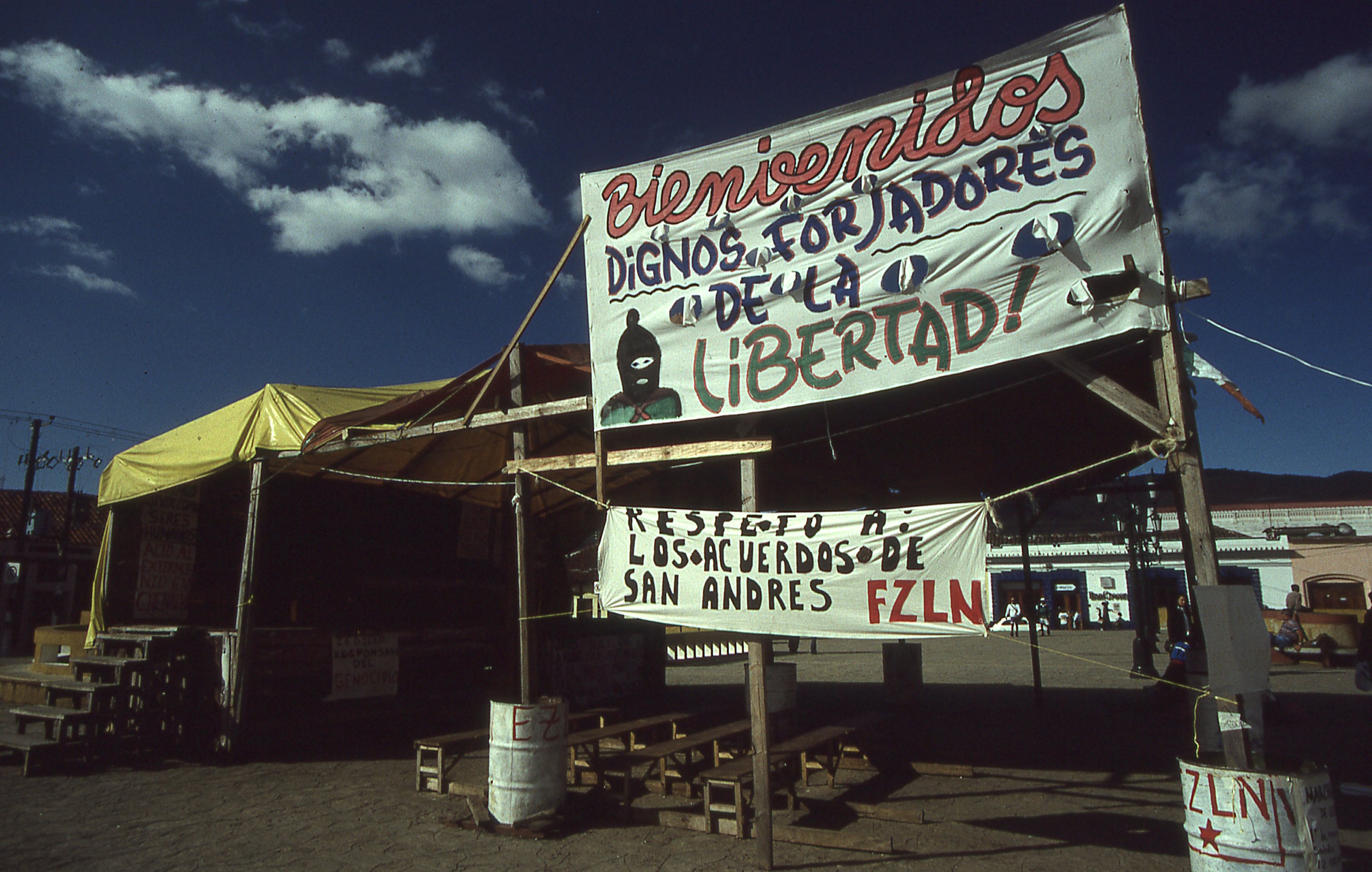 img230.jpg