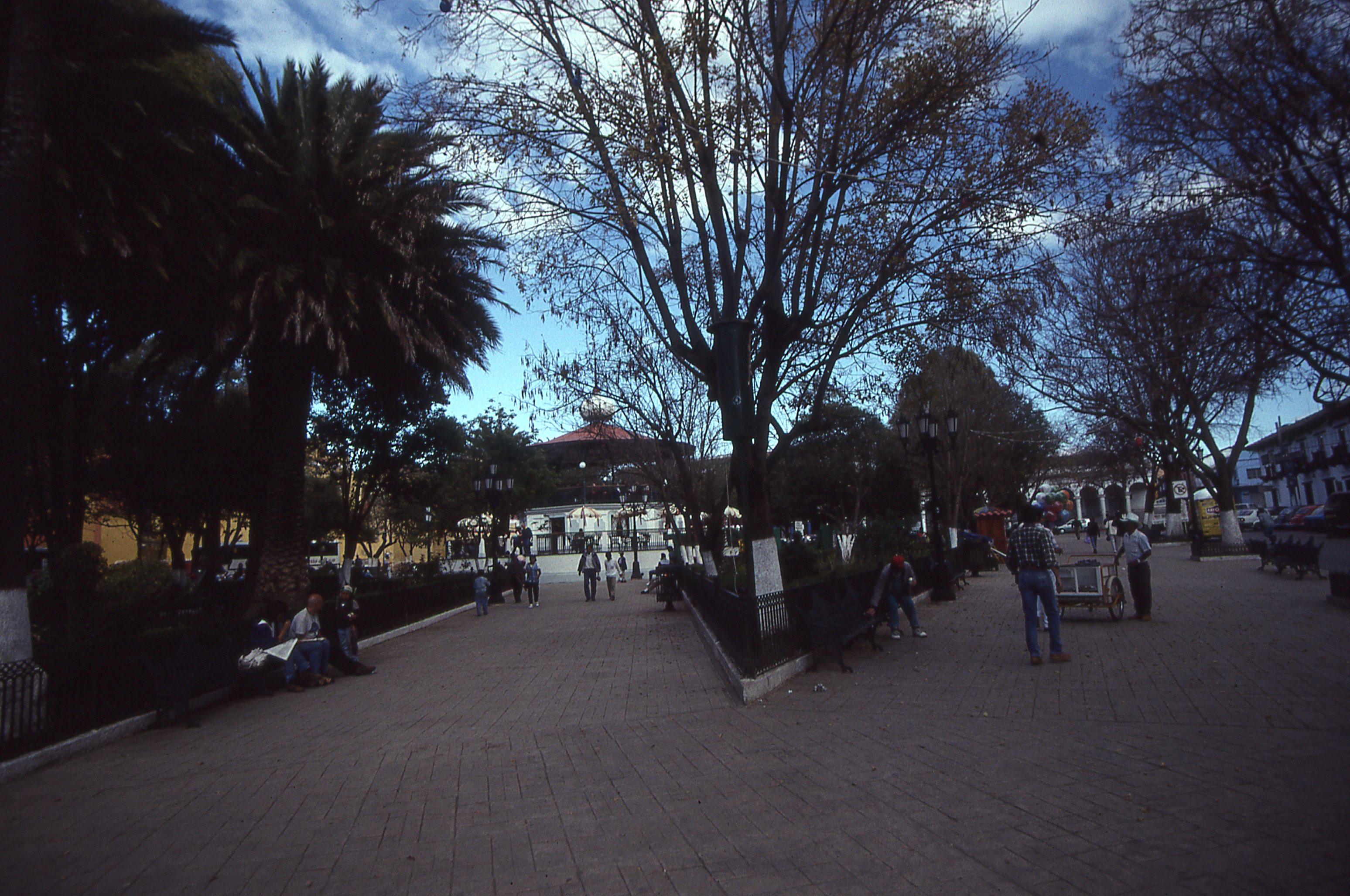 img231.jpg