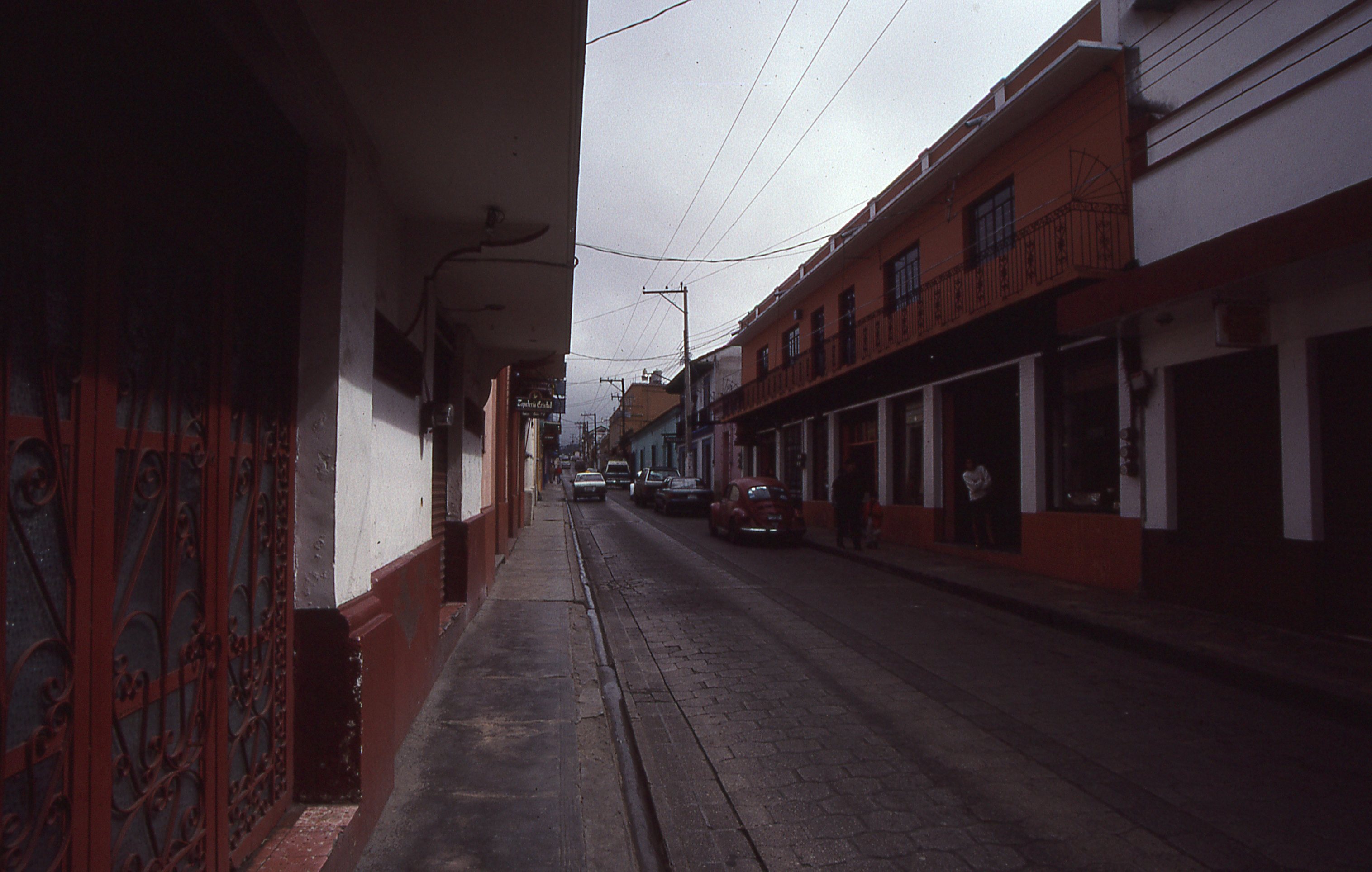 img239.jpg