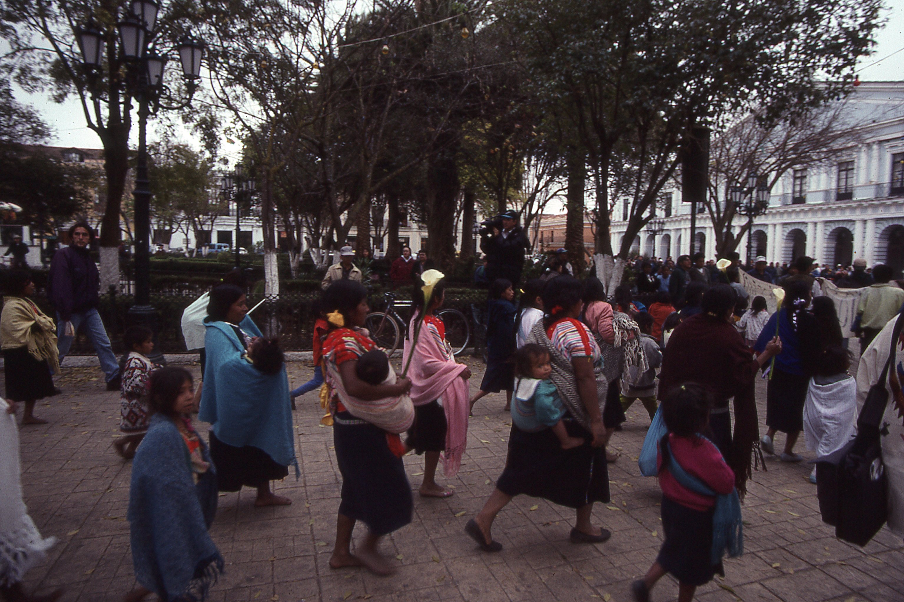 img243.jpg