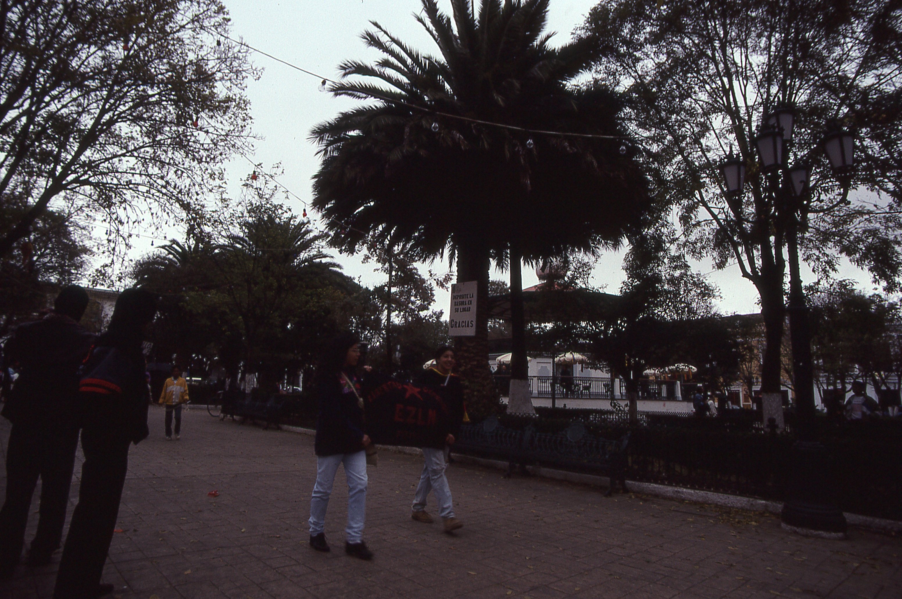 img244.jpg