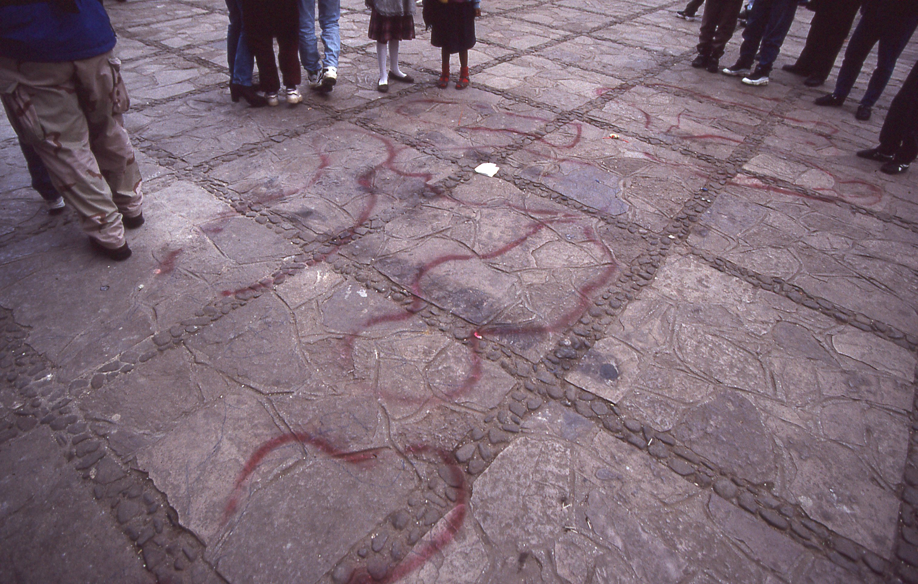 img258.jpg