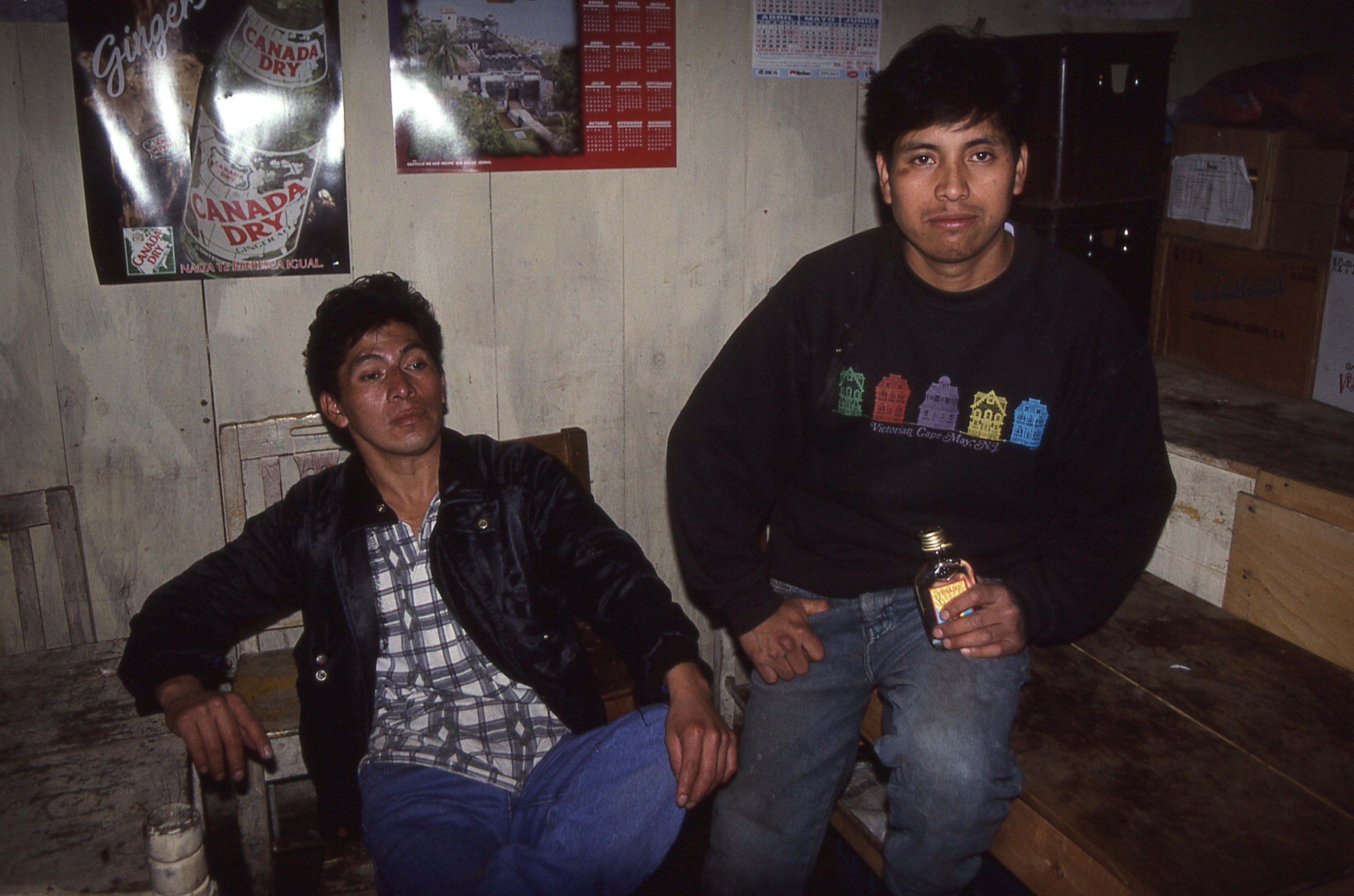img273.jpg