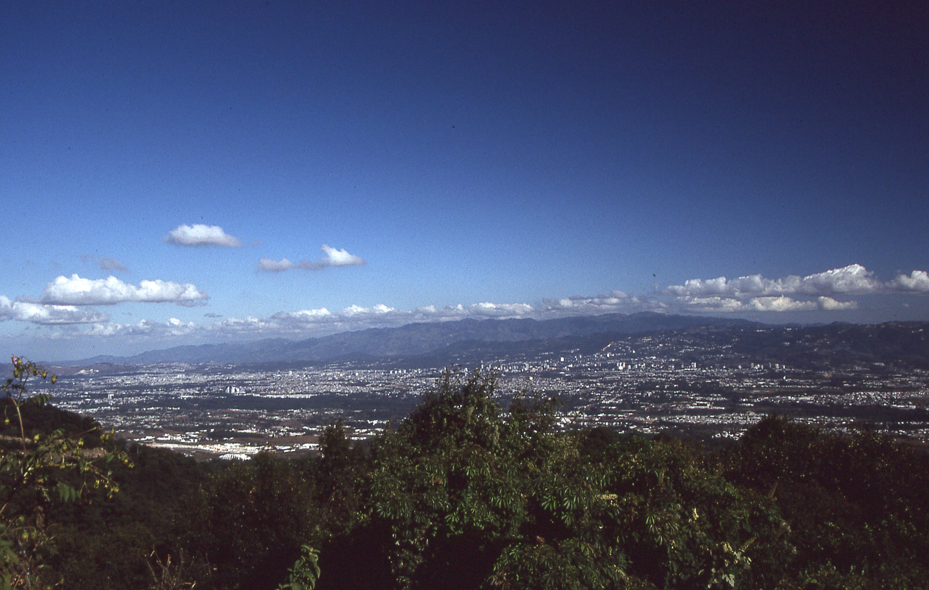 img288.jpg