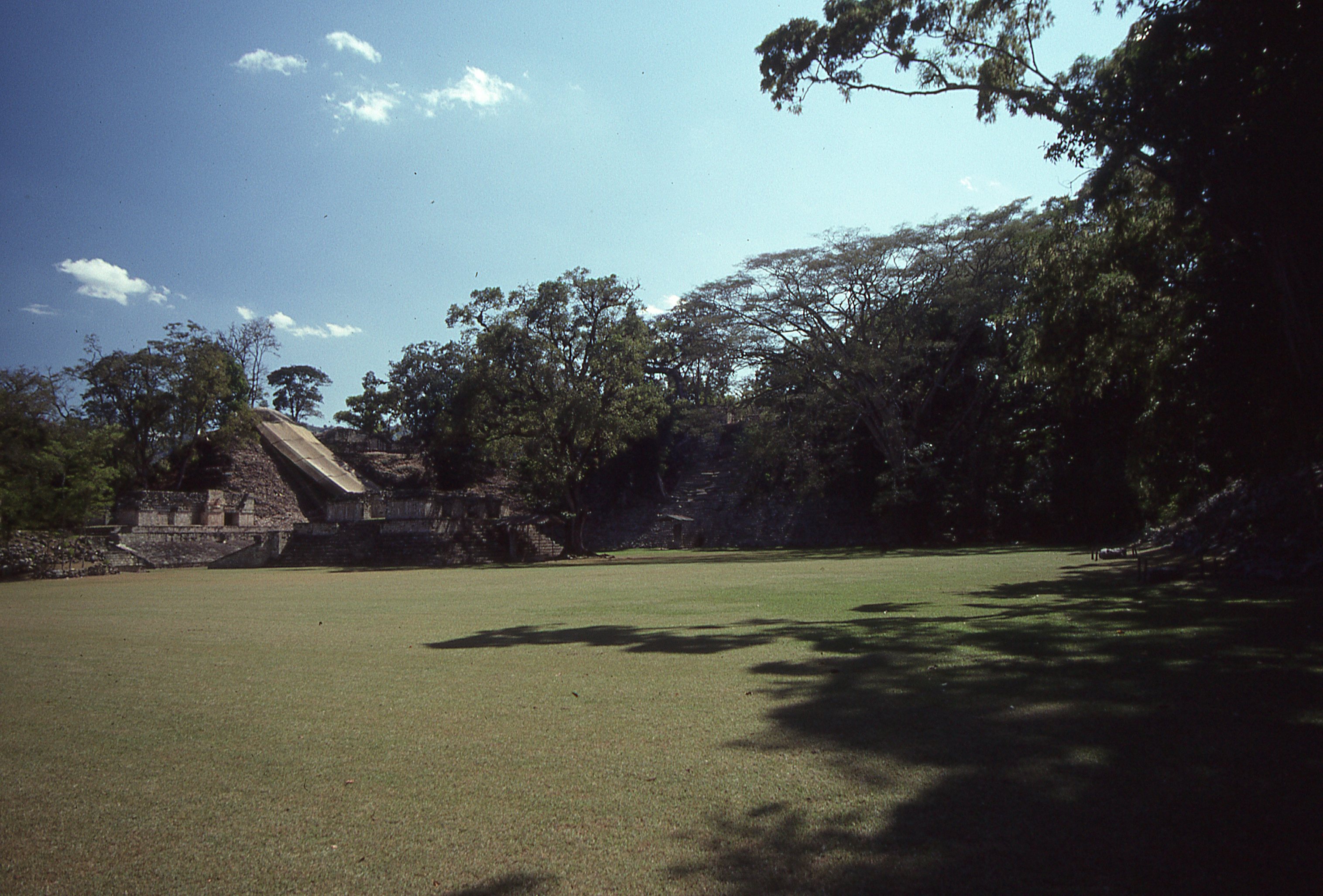 img306.jpg