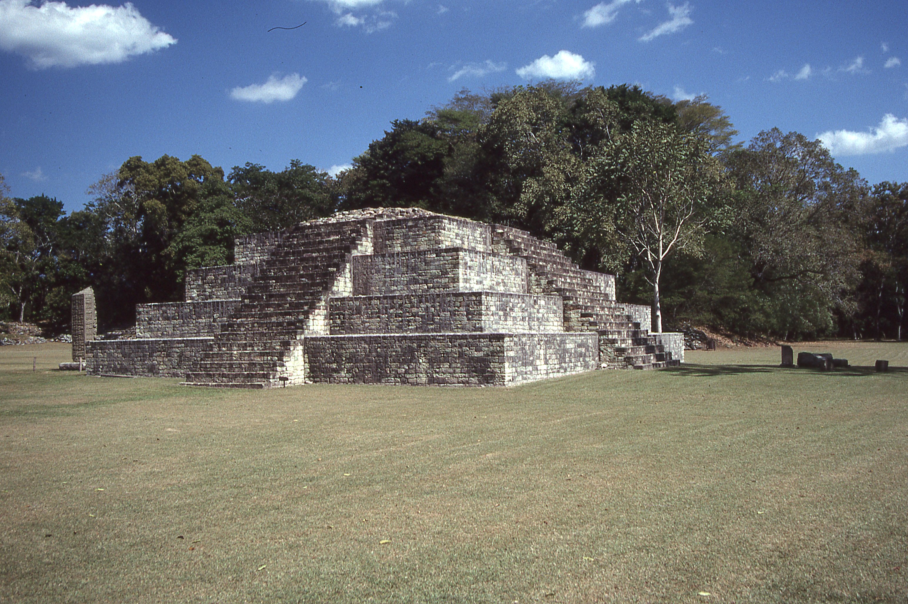 img307.jpg