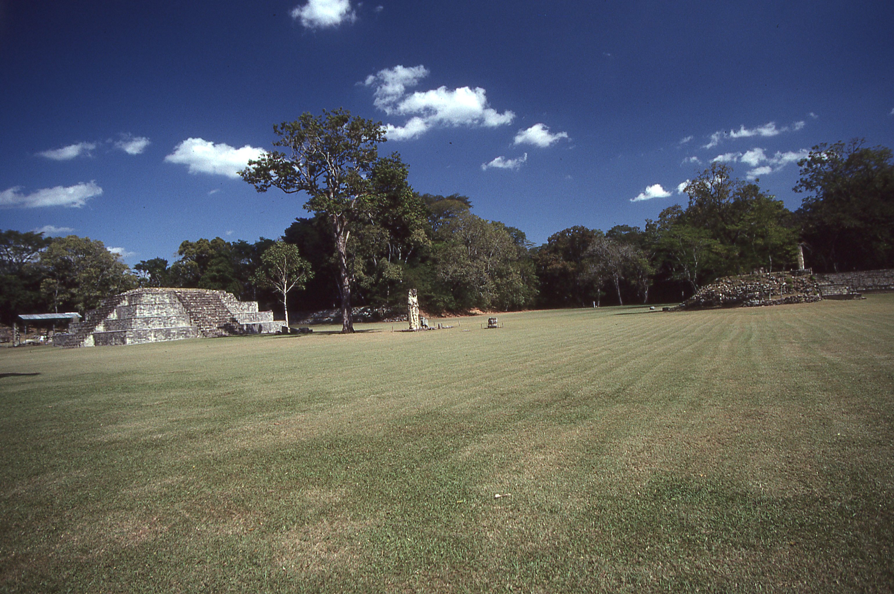 img308.jpg