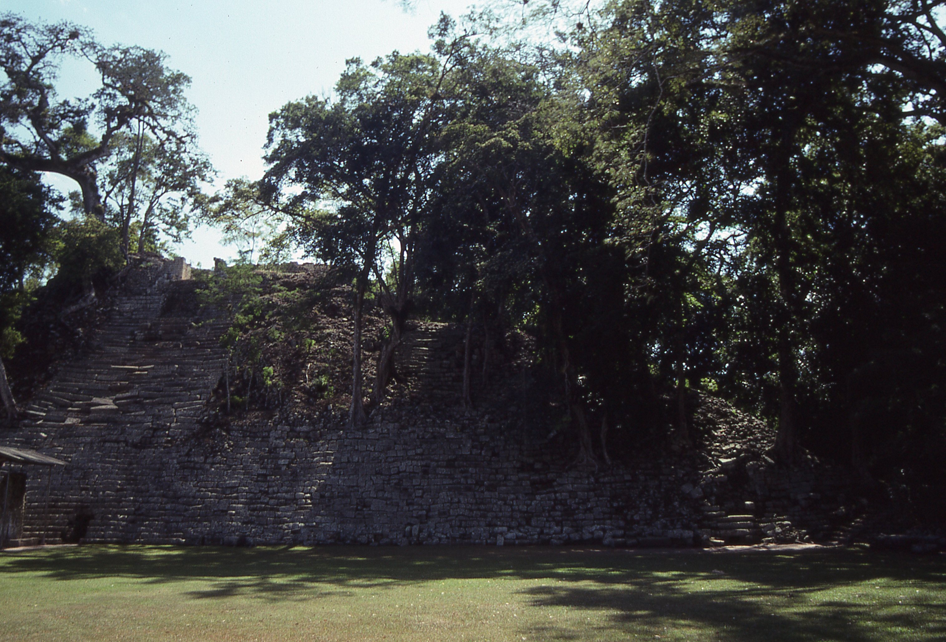 img309.jpg