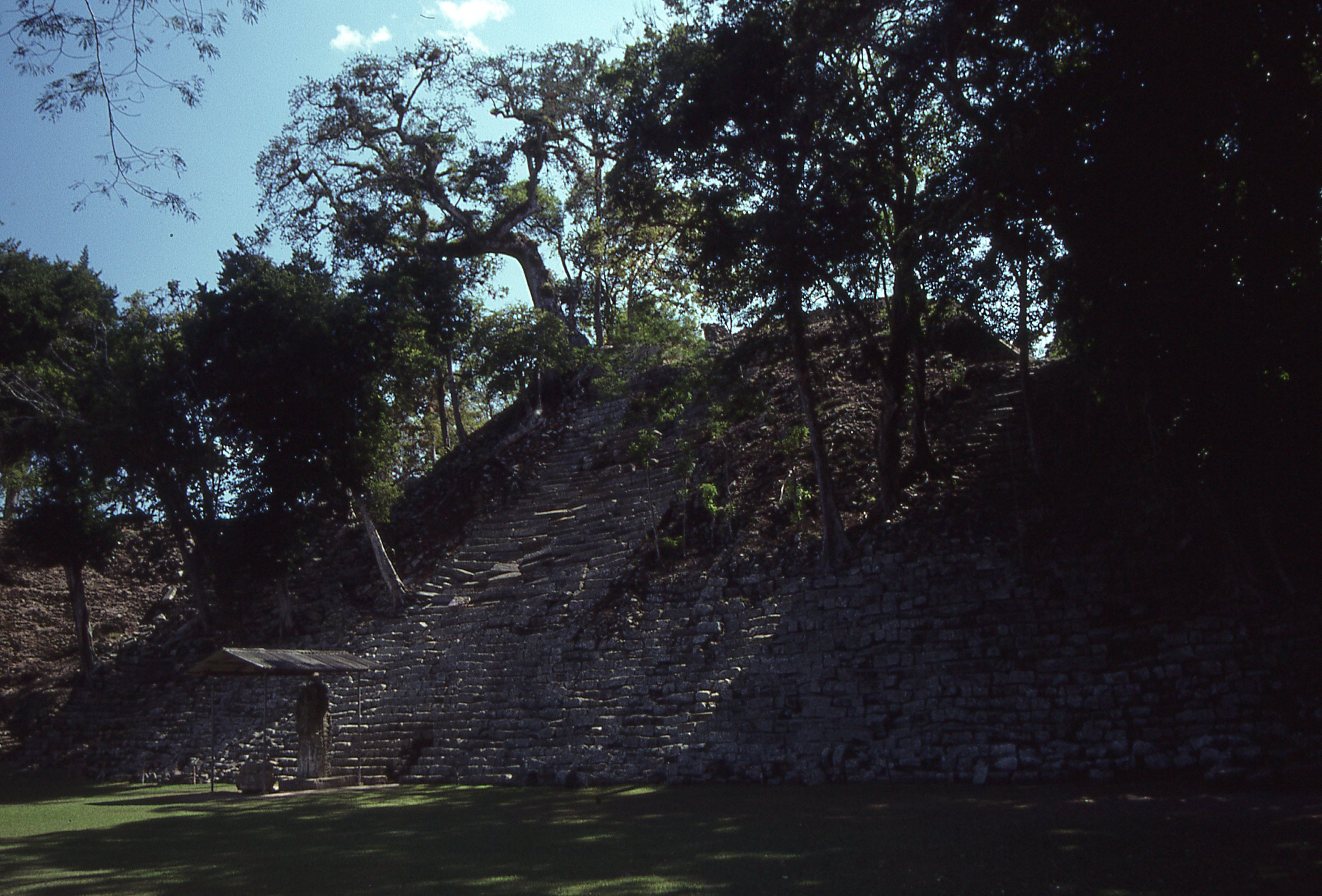 img310.jpg