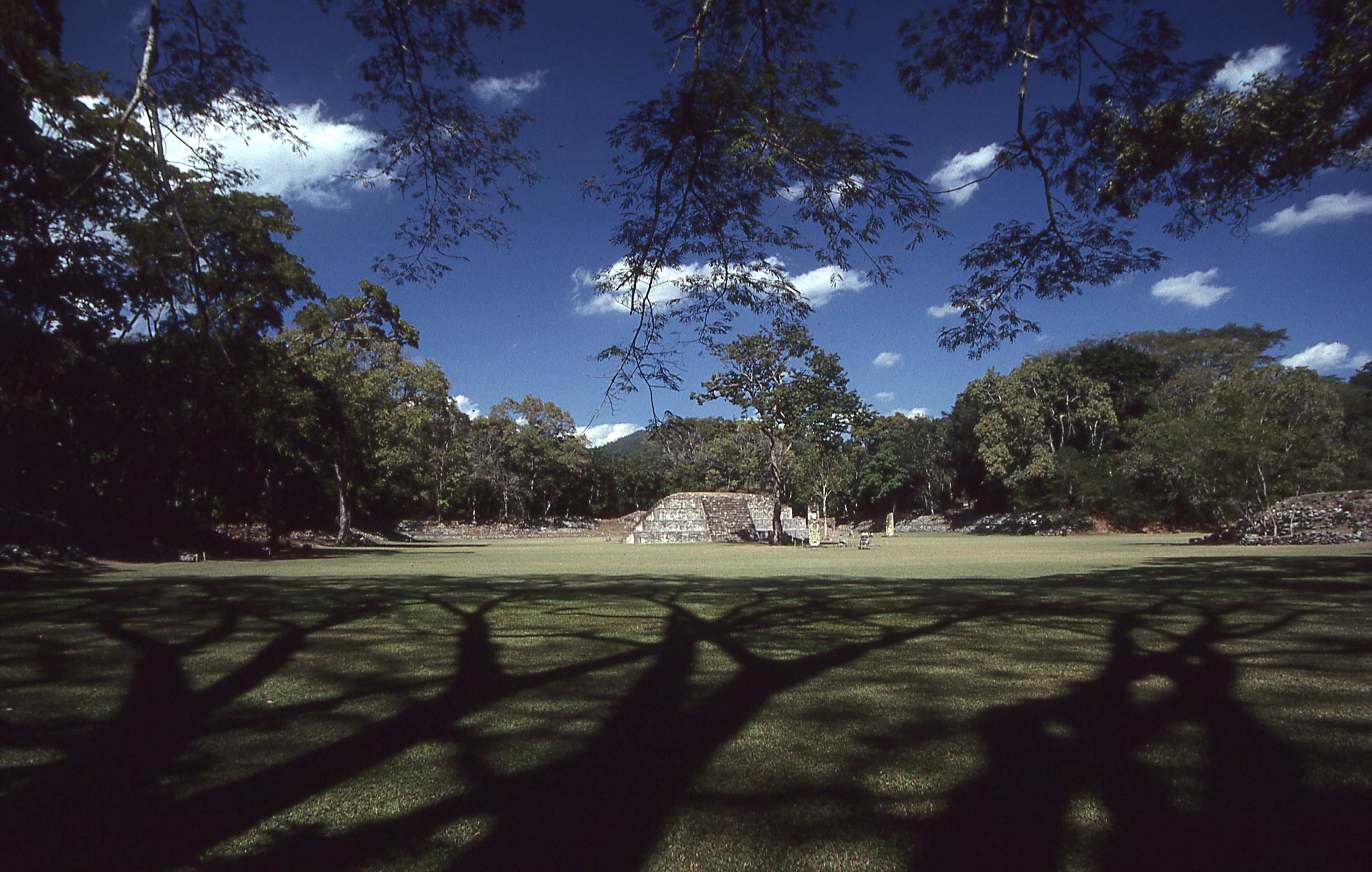 img311.jpg