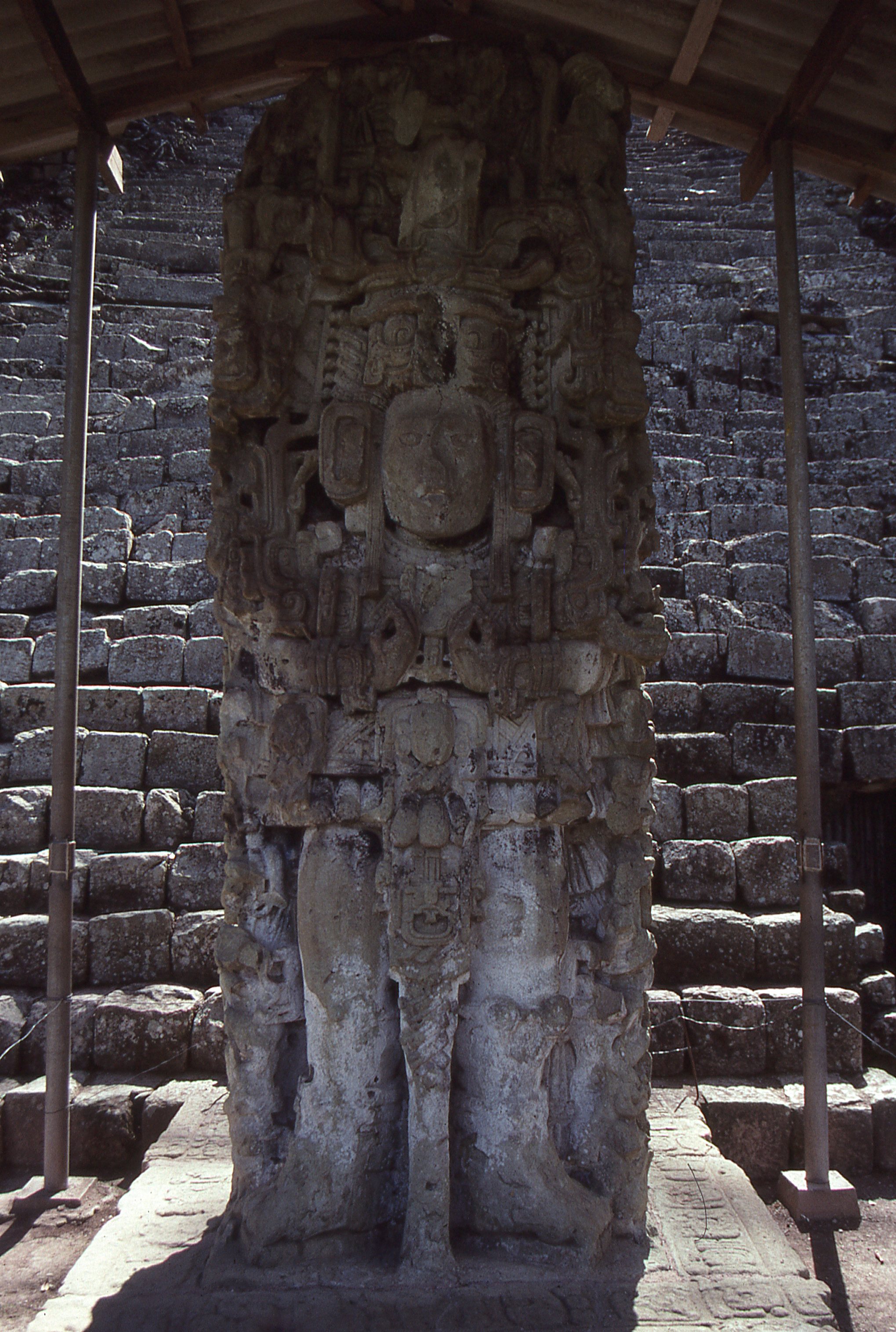 img312.jpg