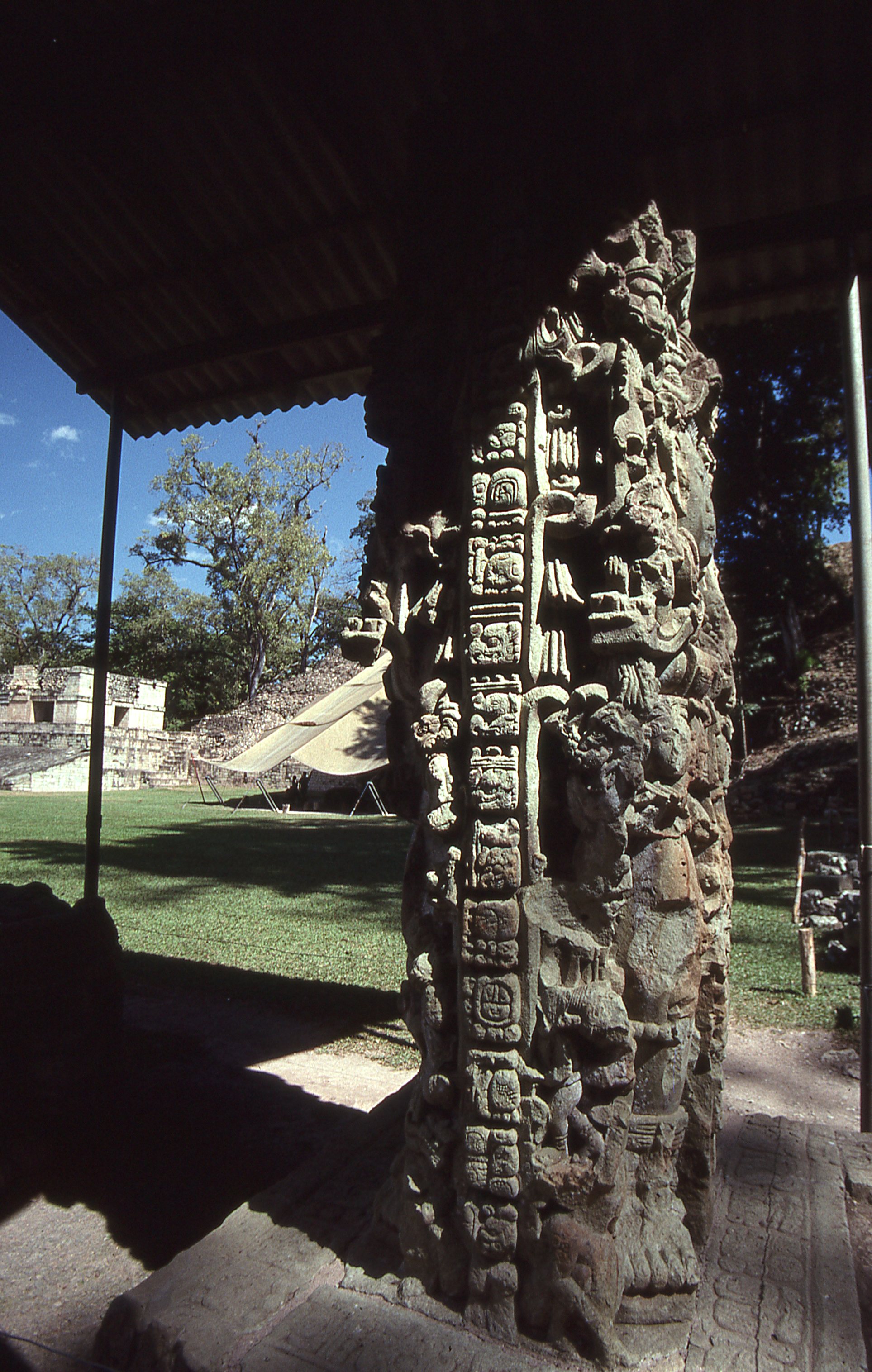img313.jpg