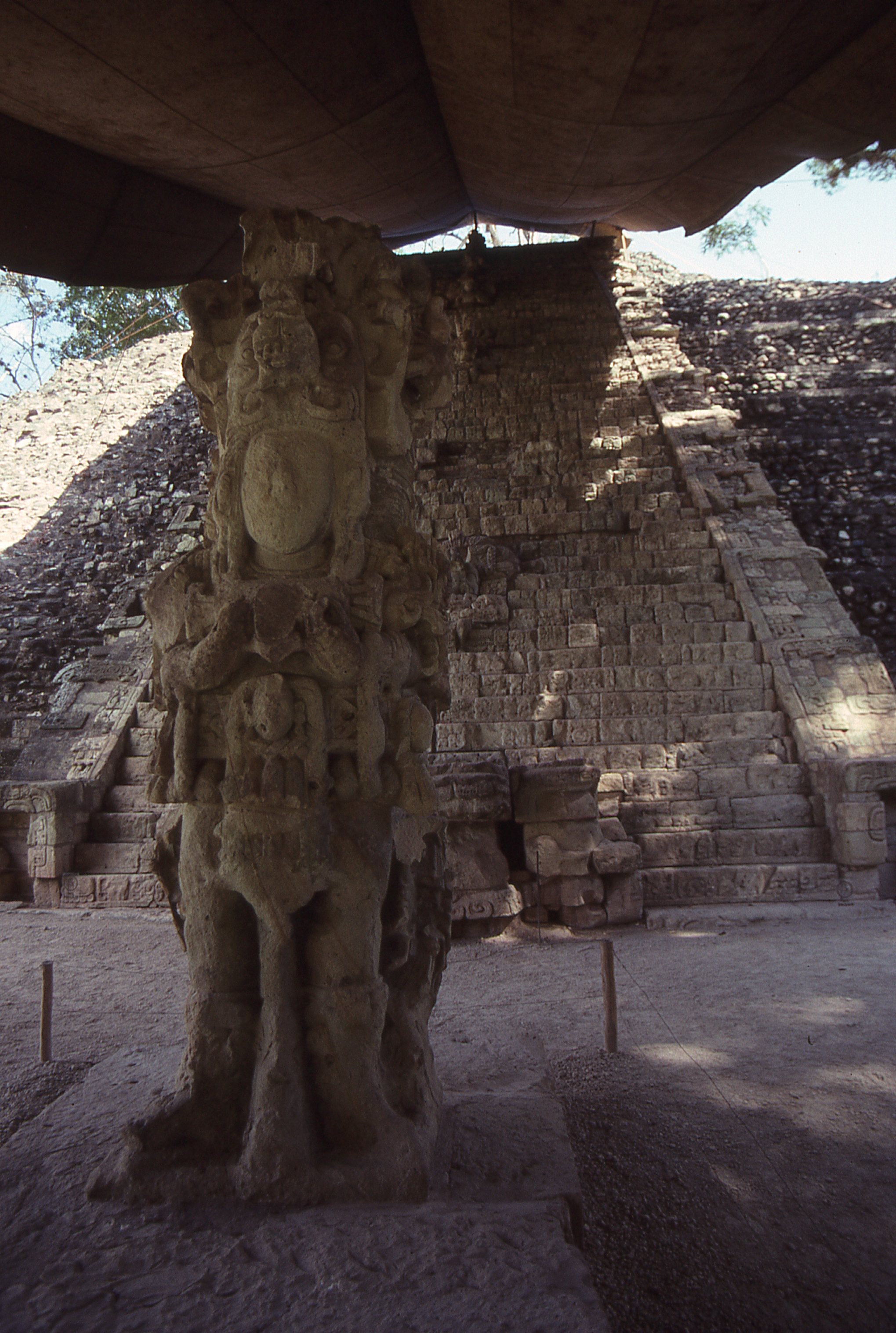 img319.jpg