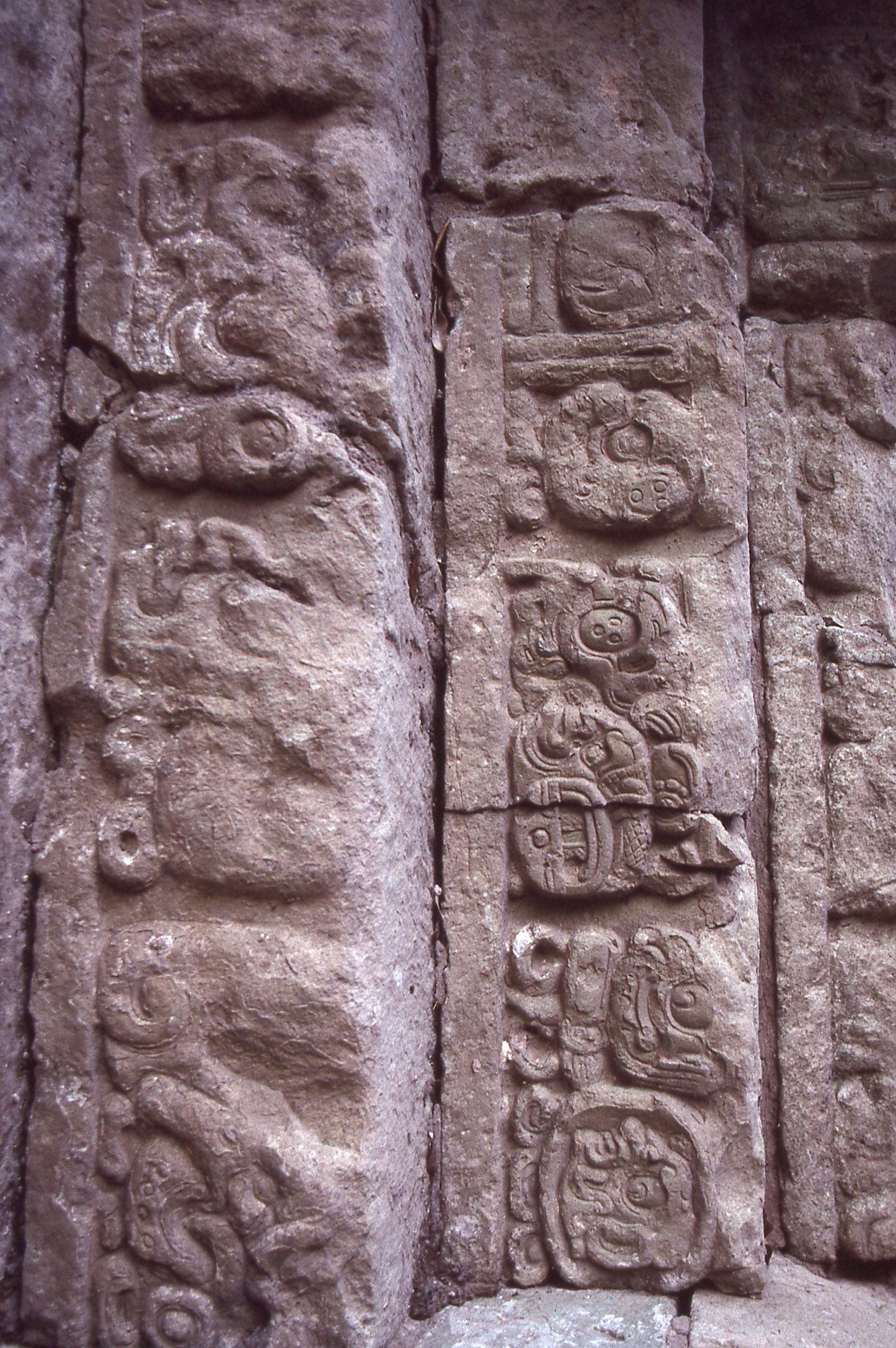 img320.jpg