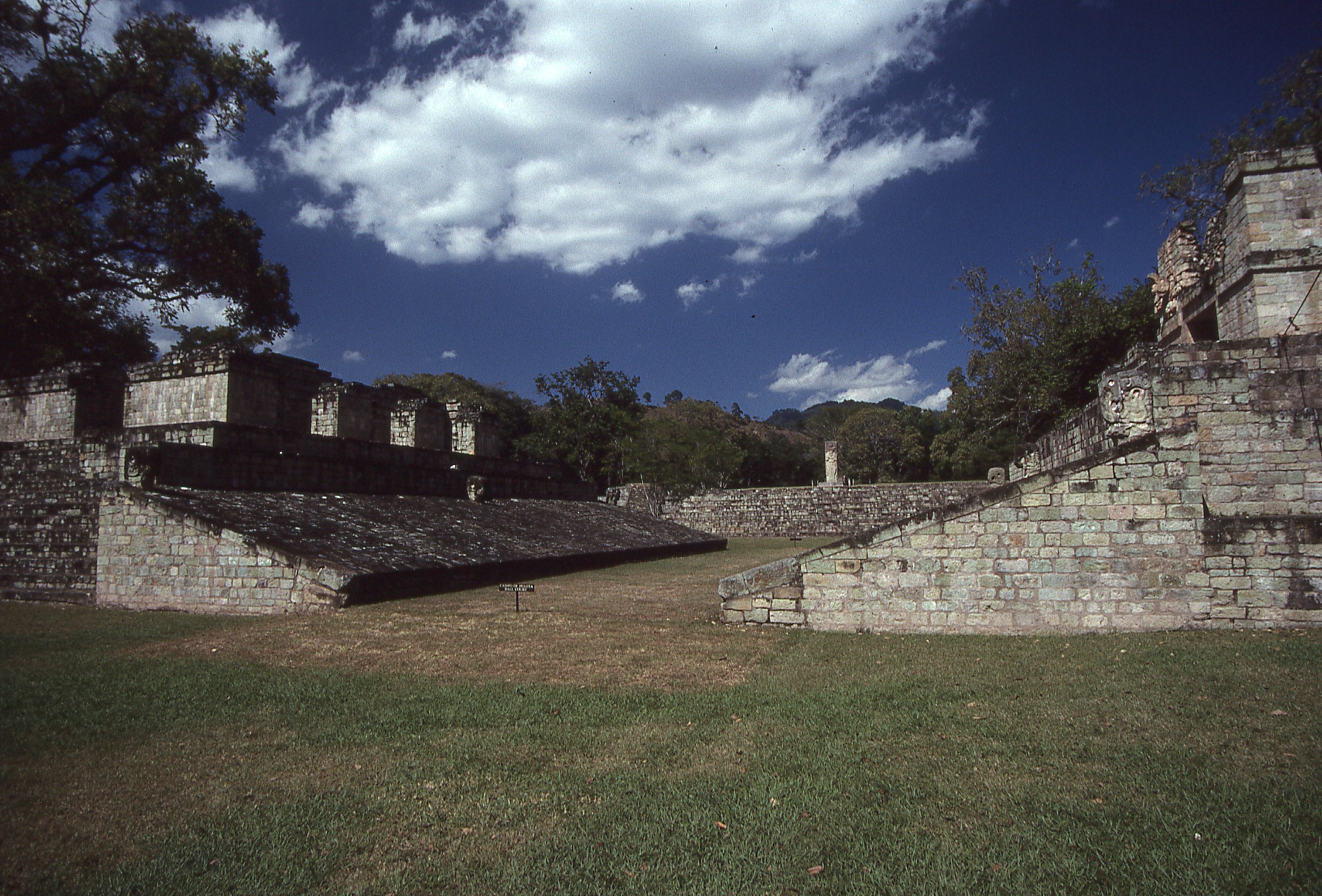 img322.jpg
