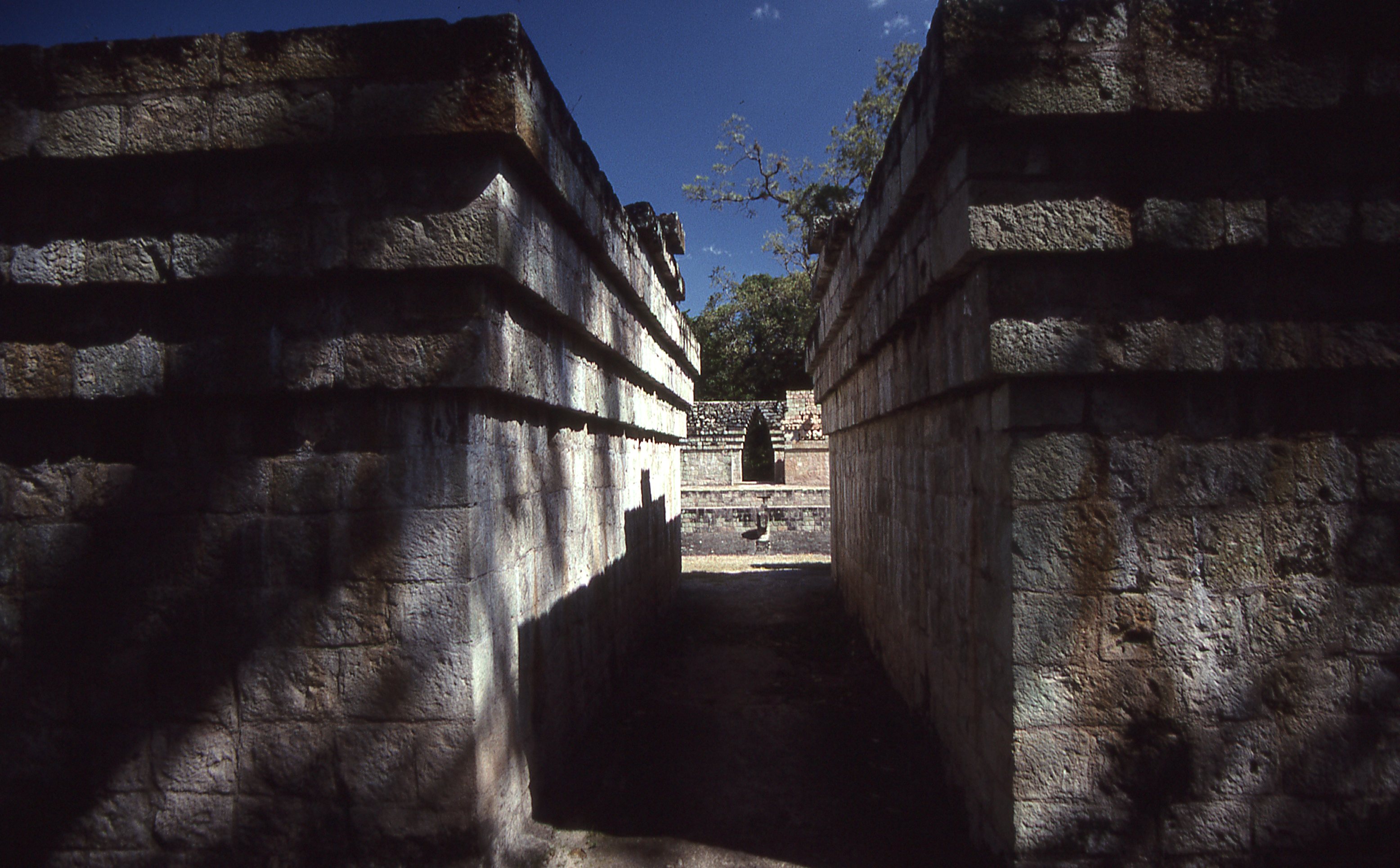 img323.jpg
