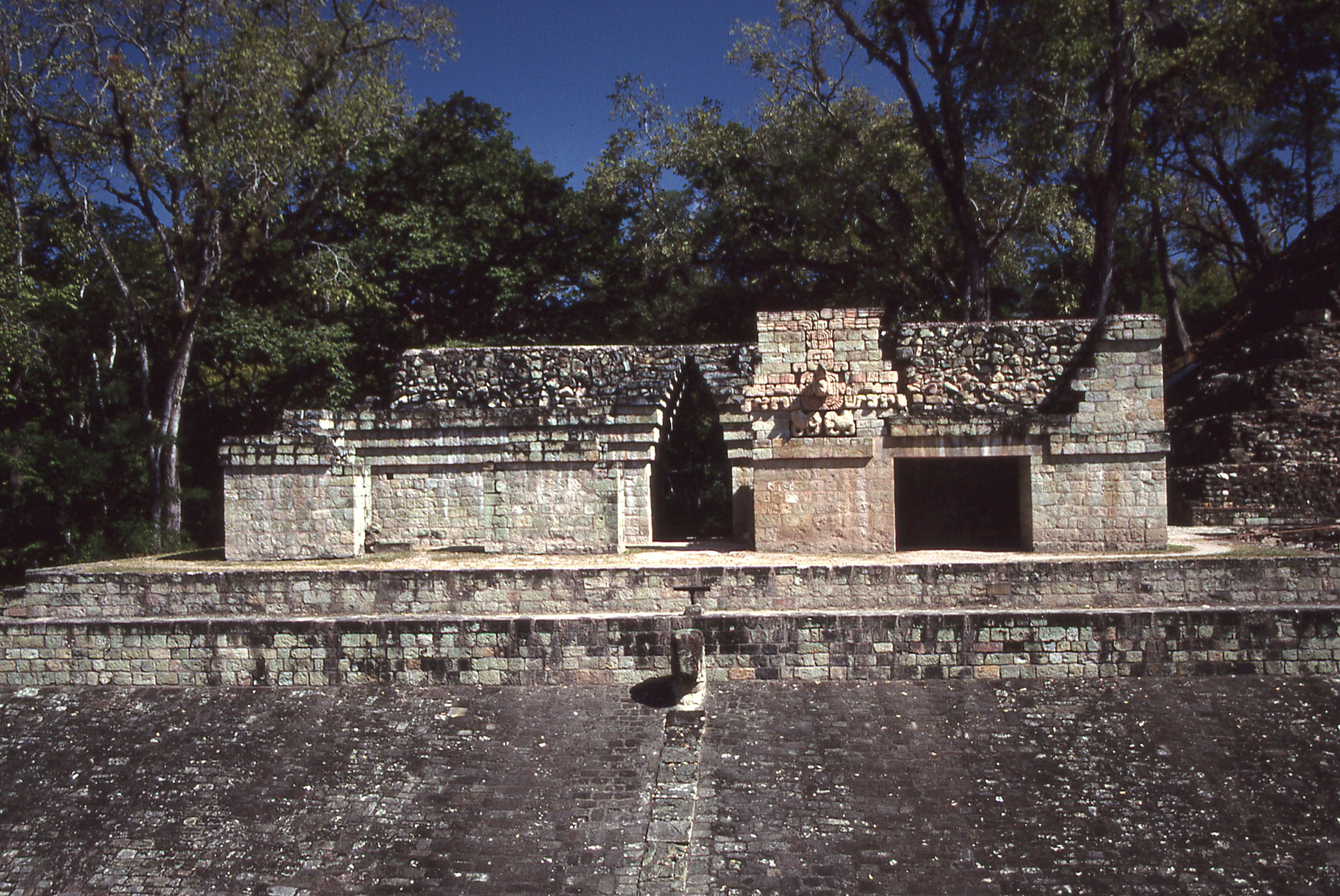img324.jpg
