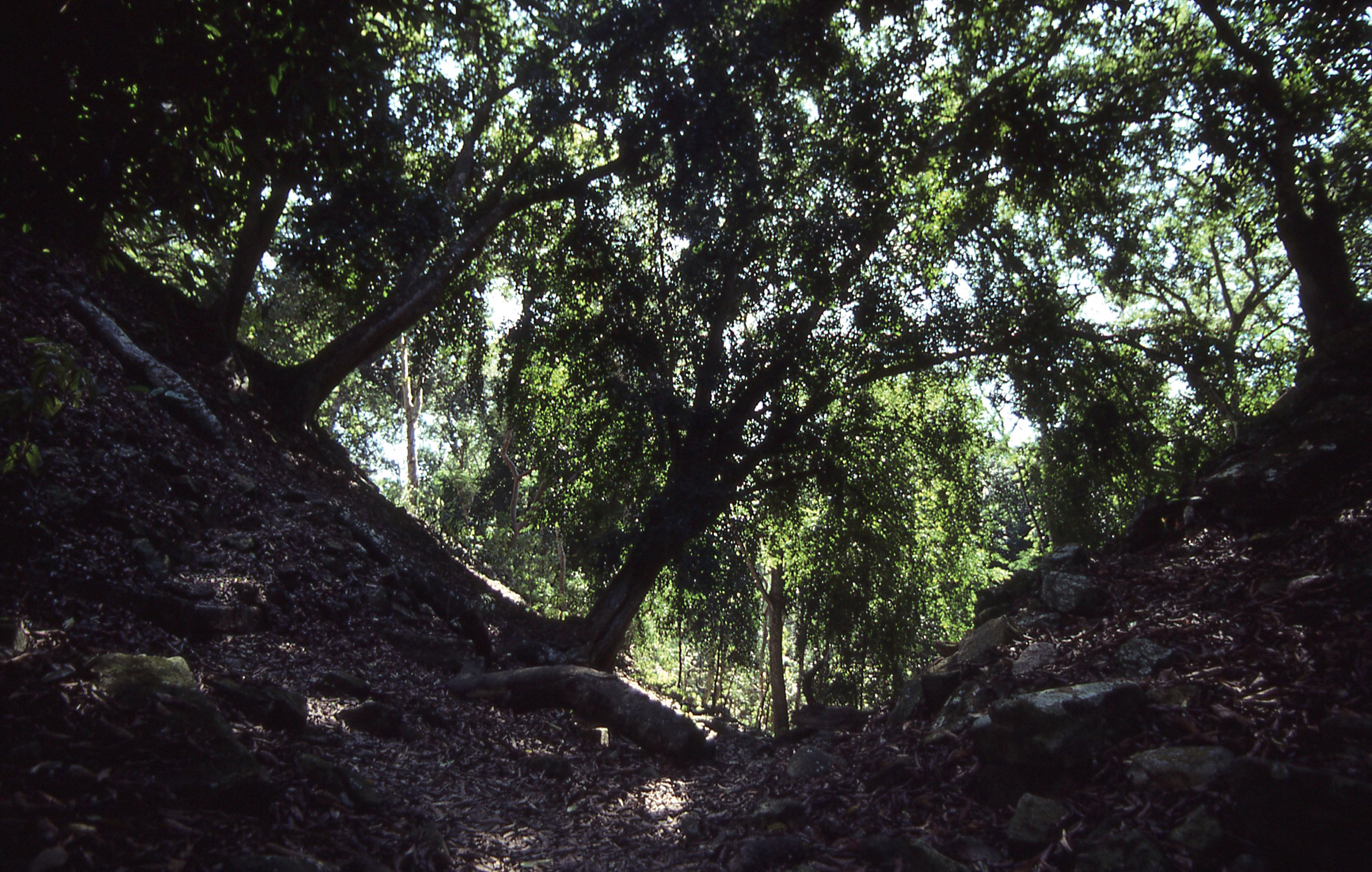 img325.jpg