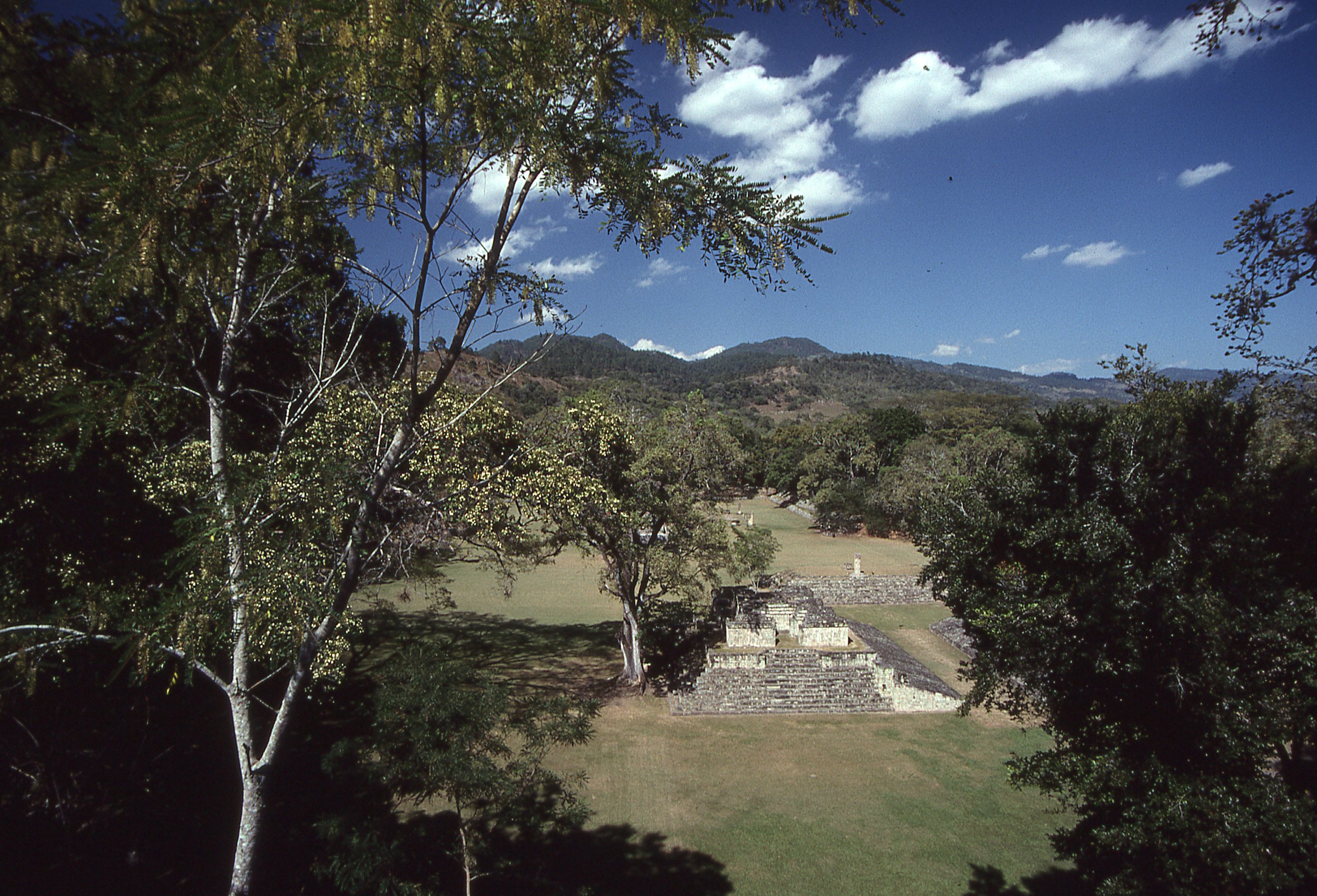 img326.jpg