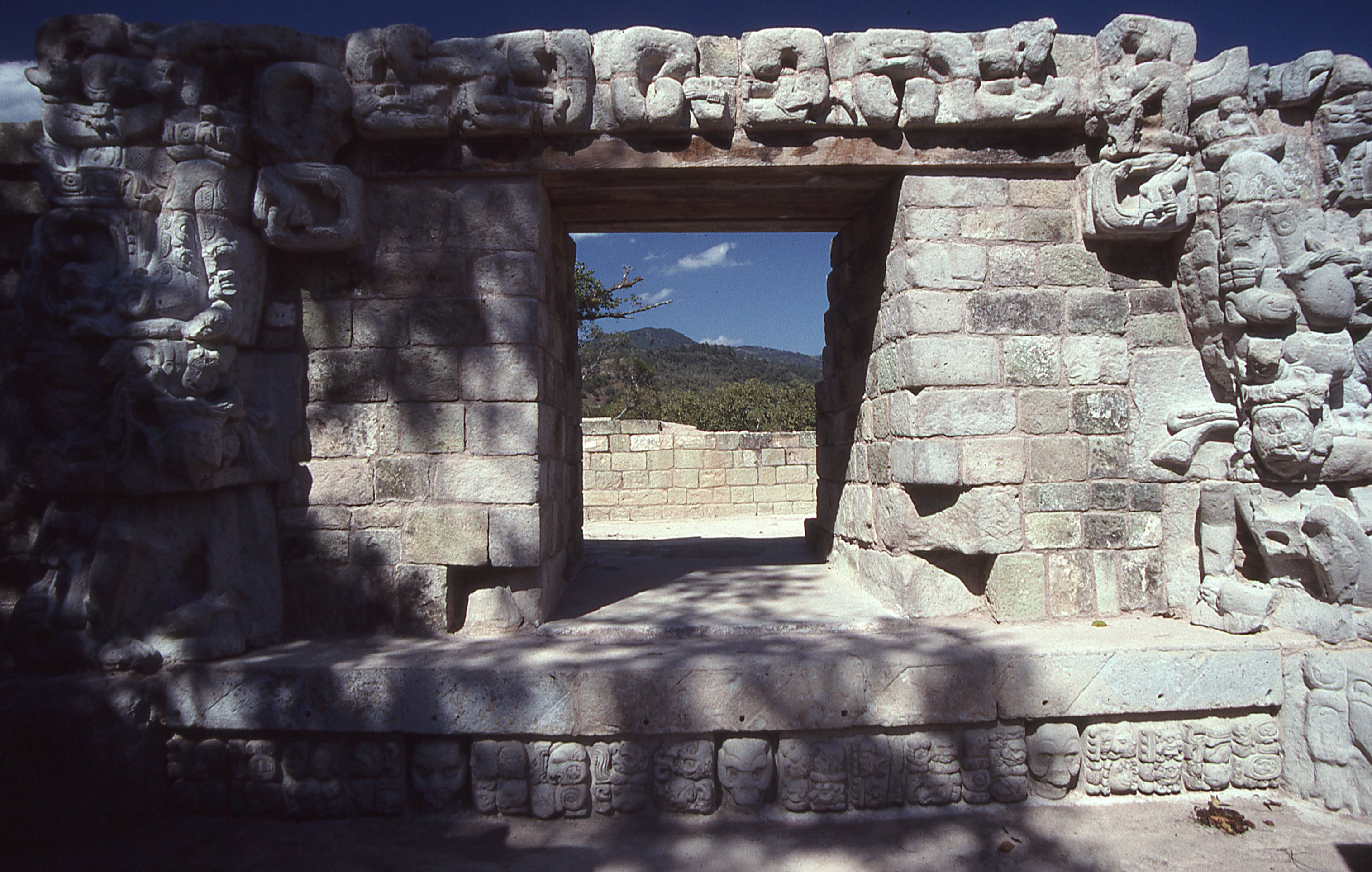 img334.jpg