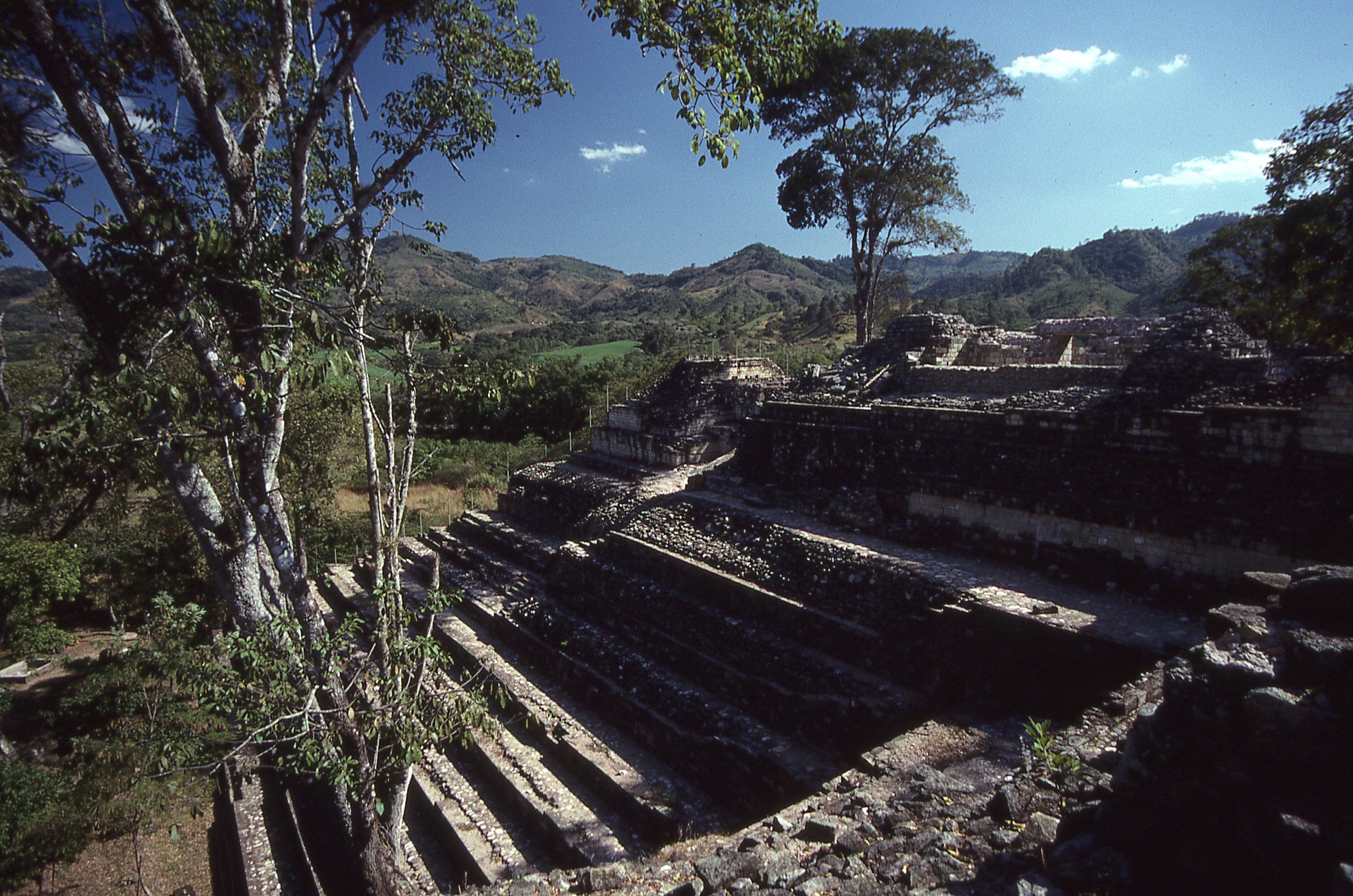 img335.jpg