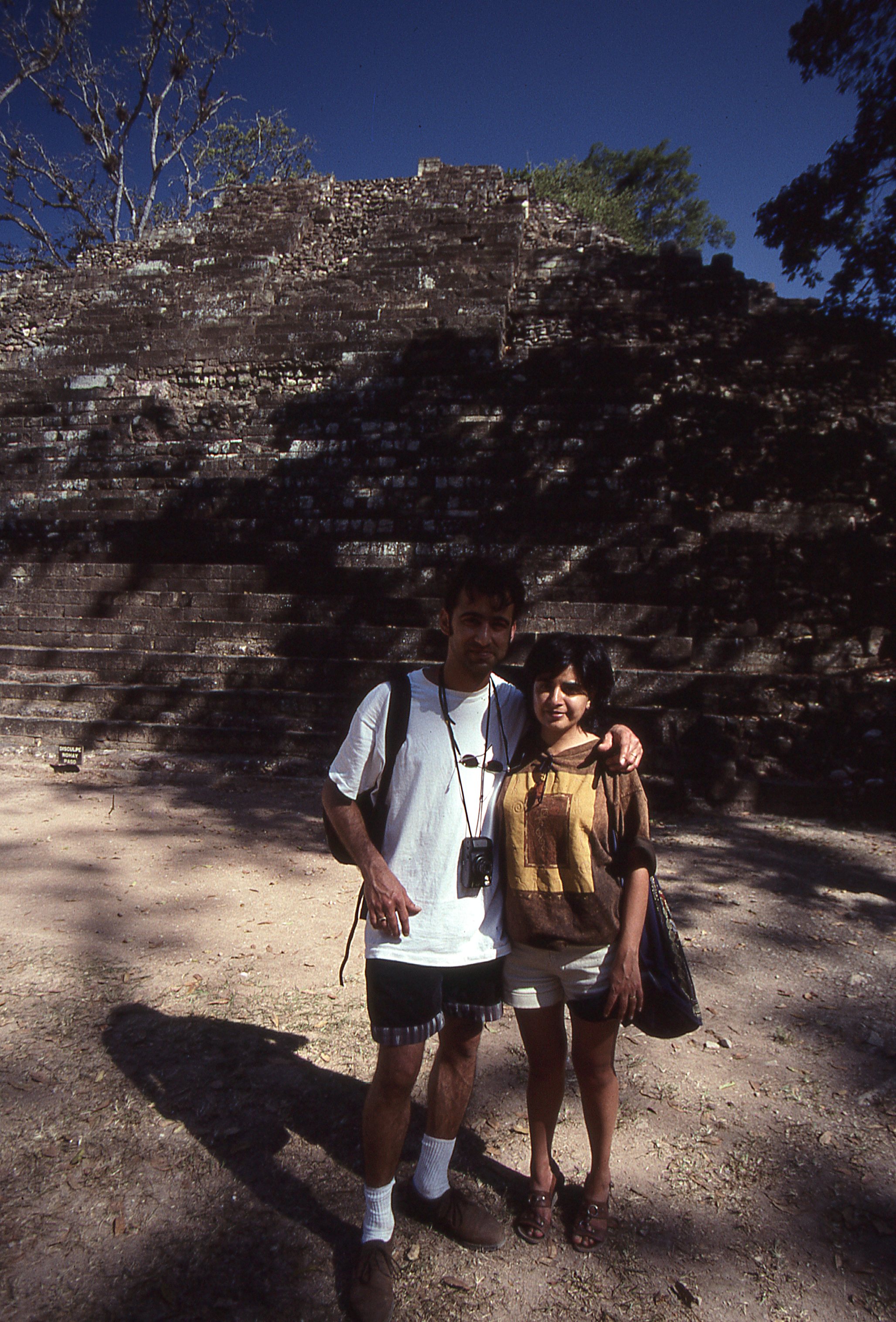 img336.jpg