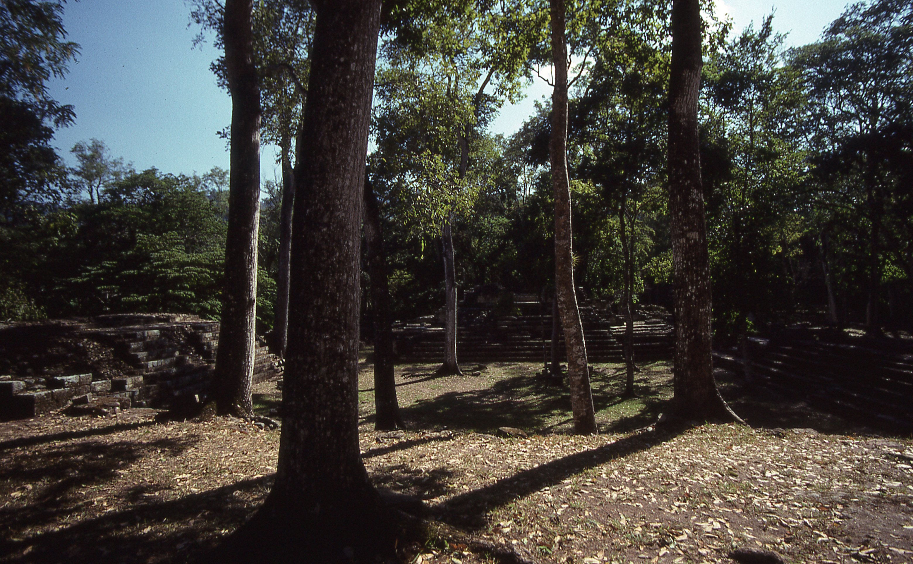 img337.jpg