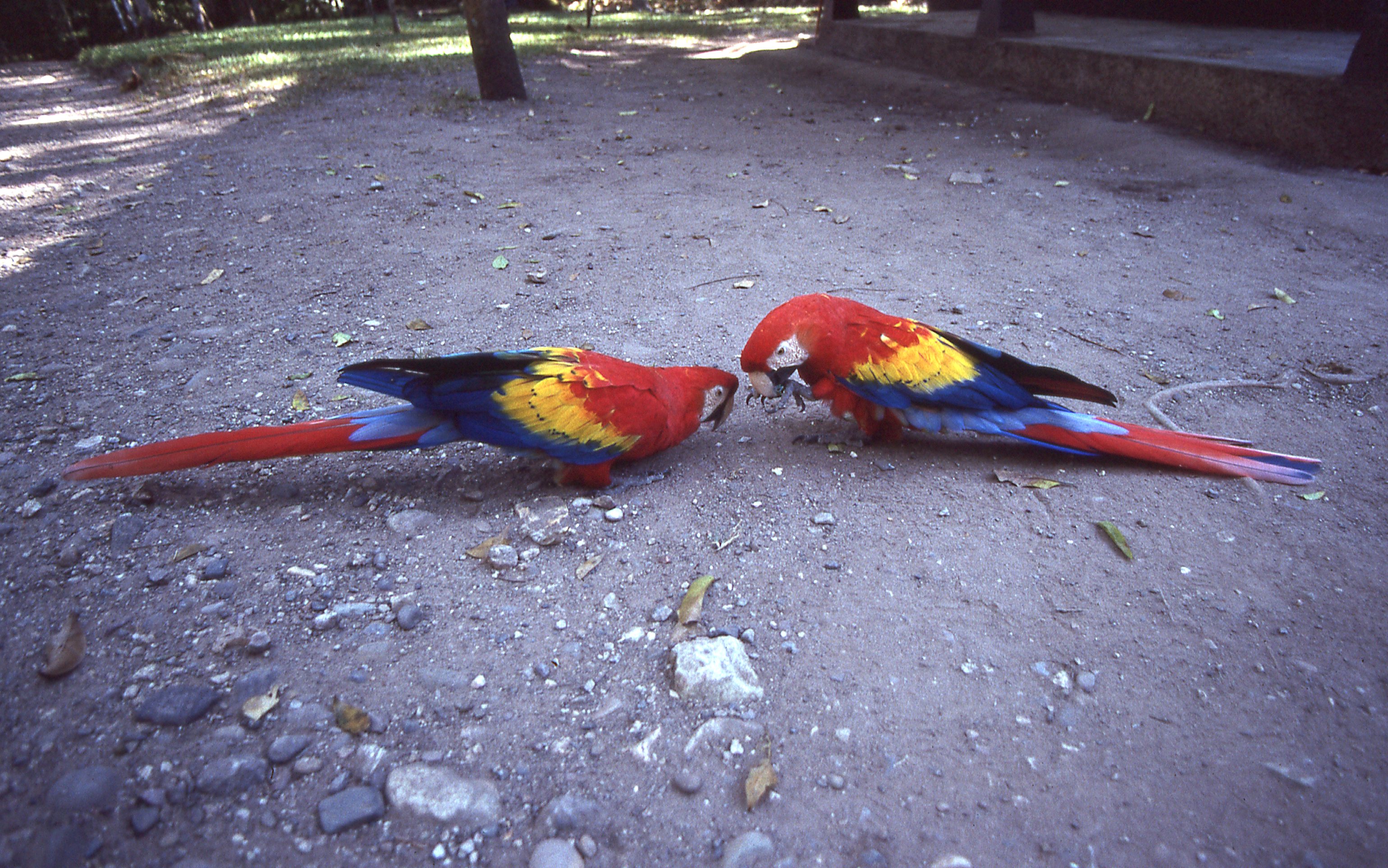 img338.jpg