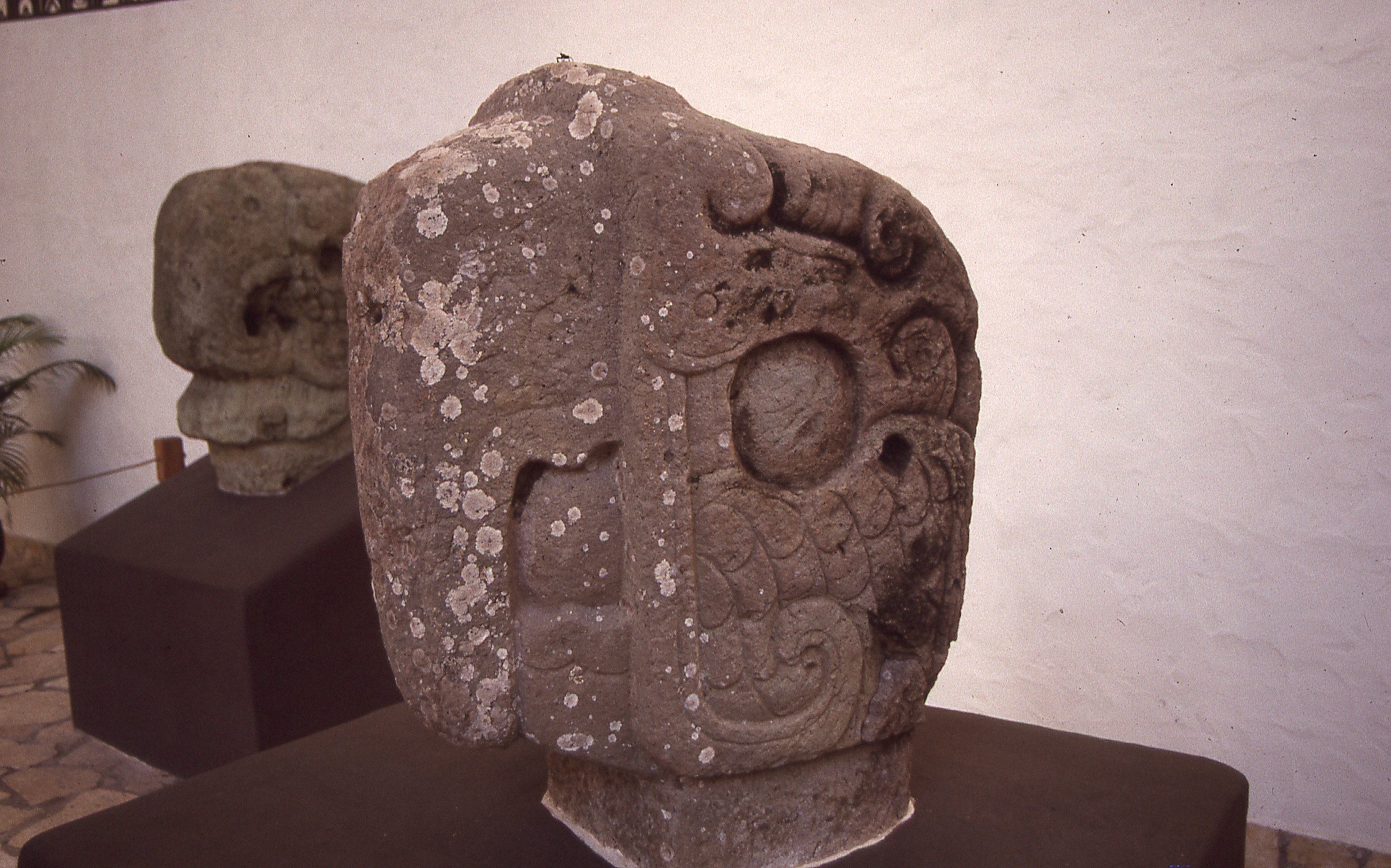 img340.jpg
