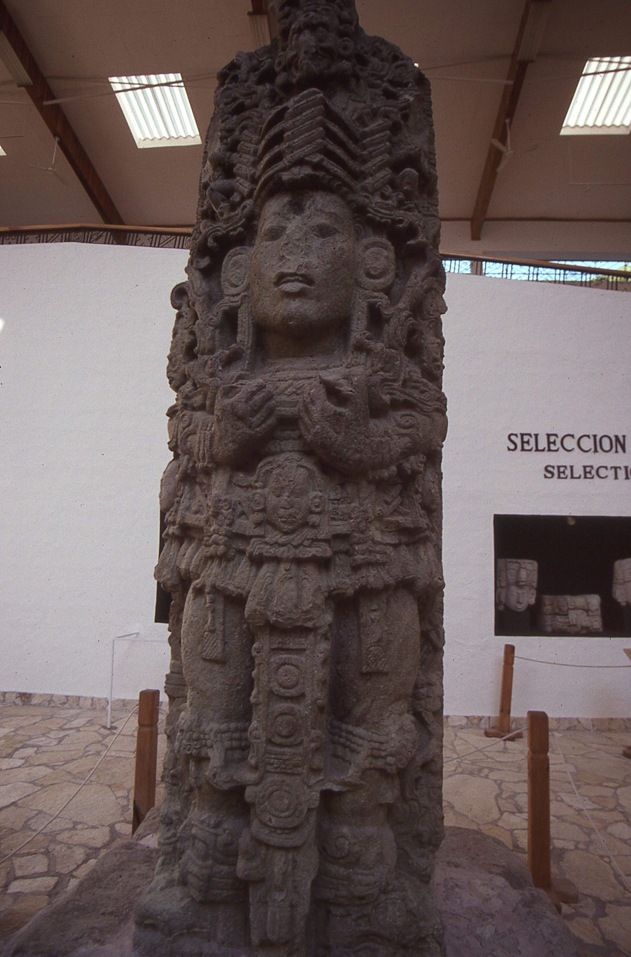 img343.jpg