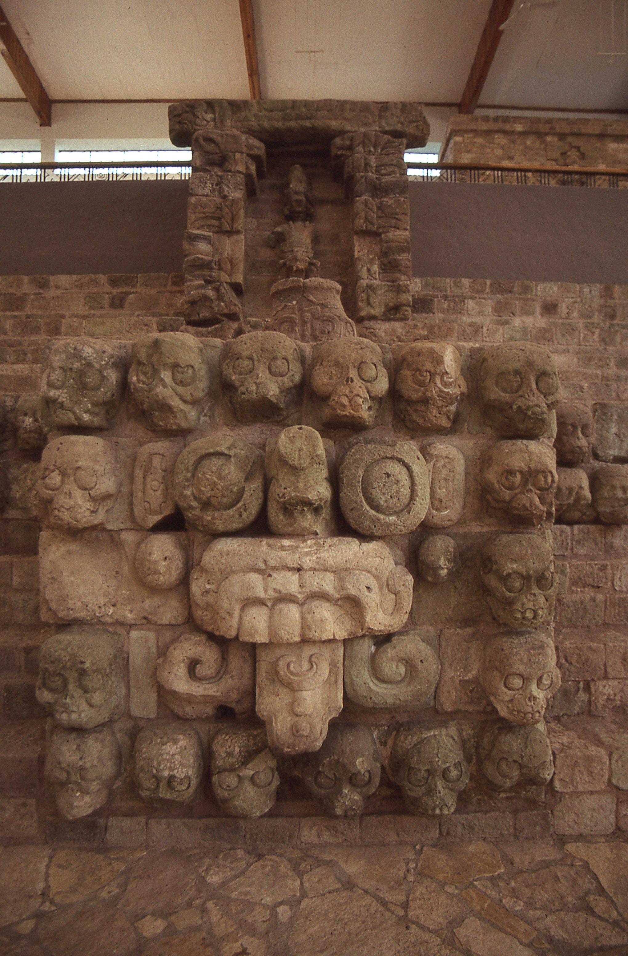 img346.jpg