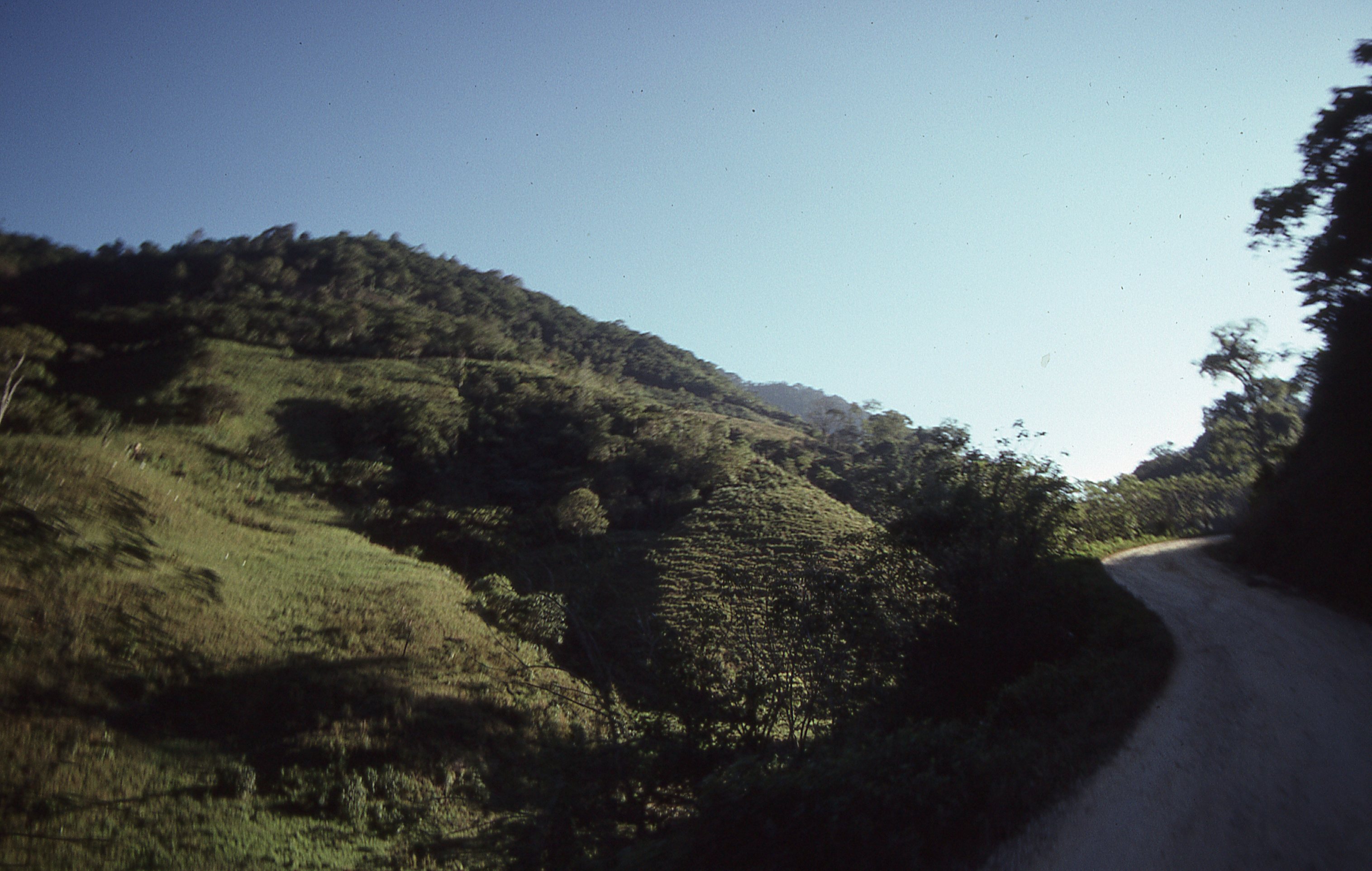 img354.jpg