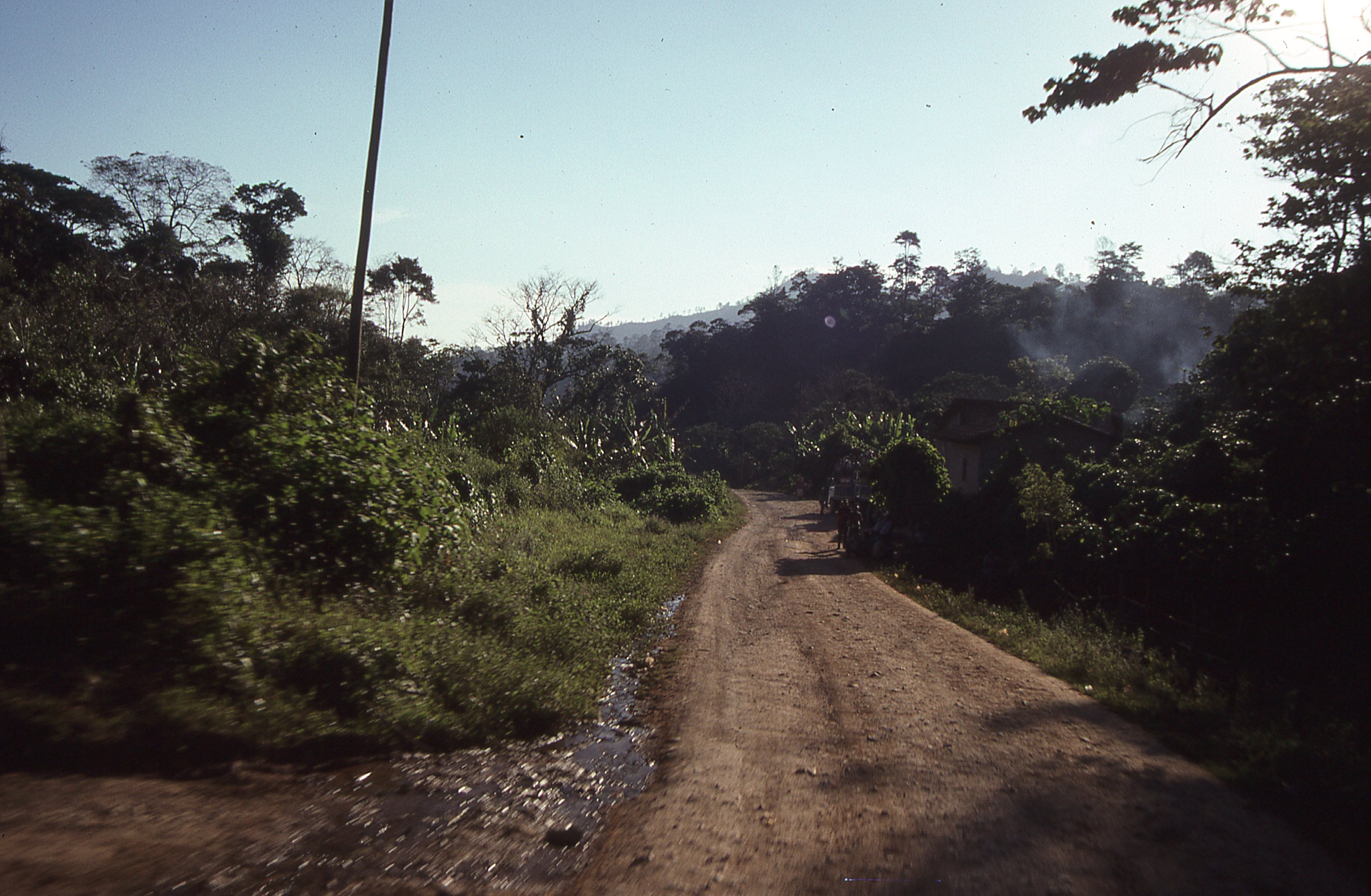 img355.jpg
