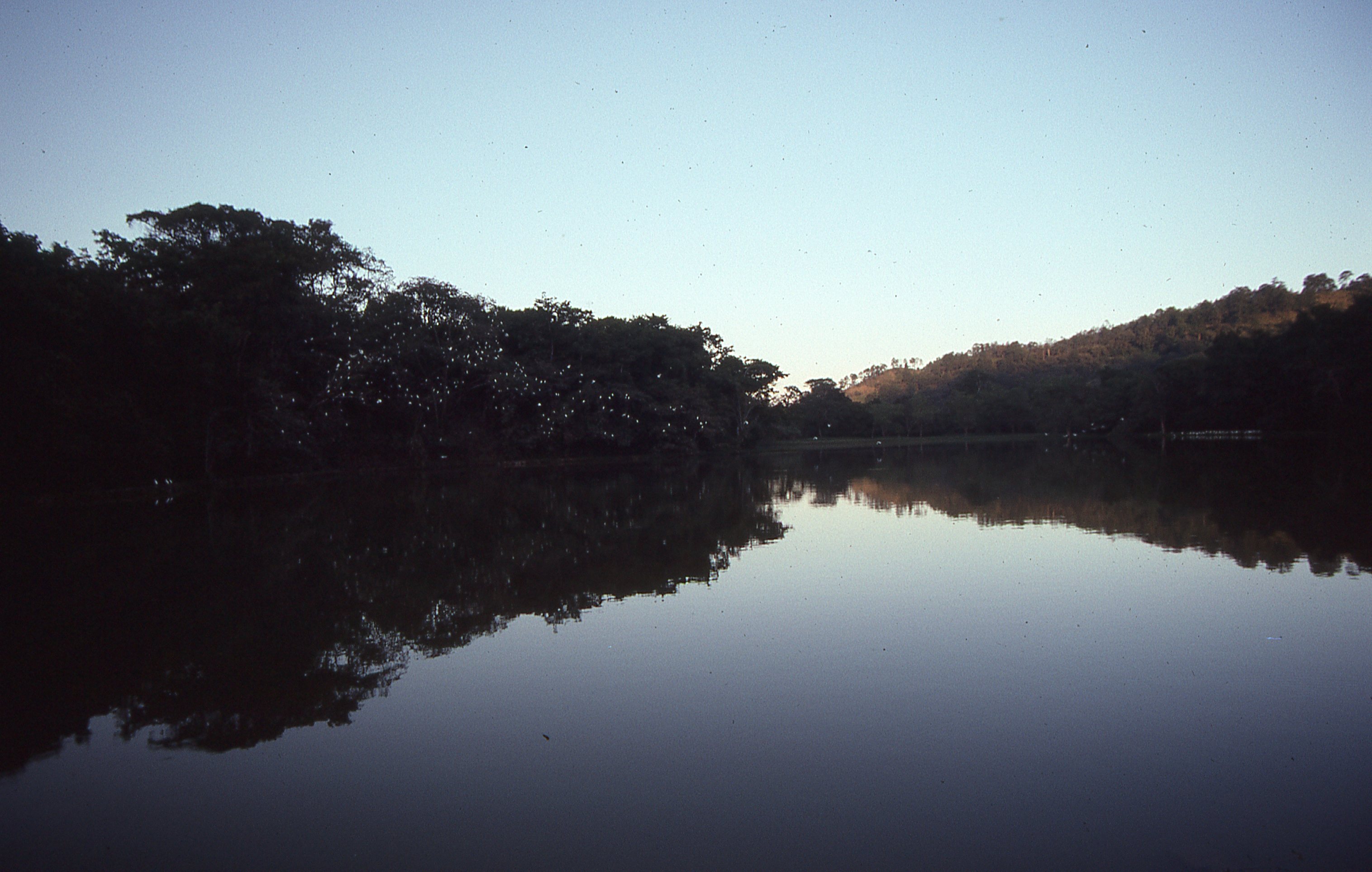 img358.jpg