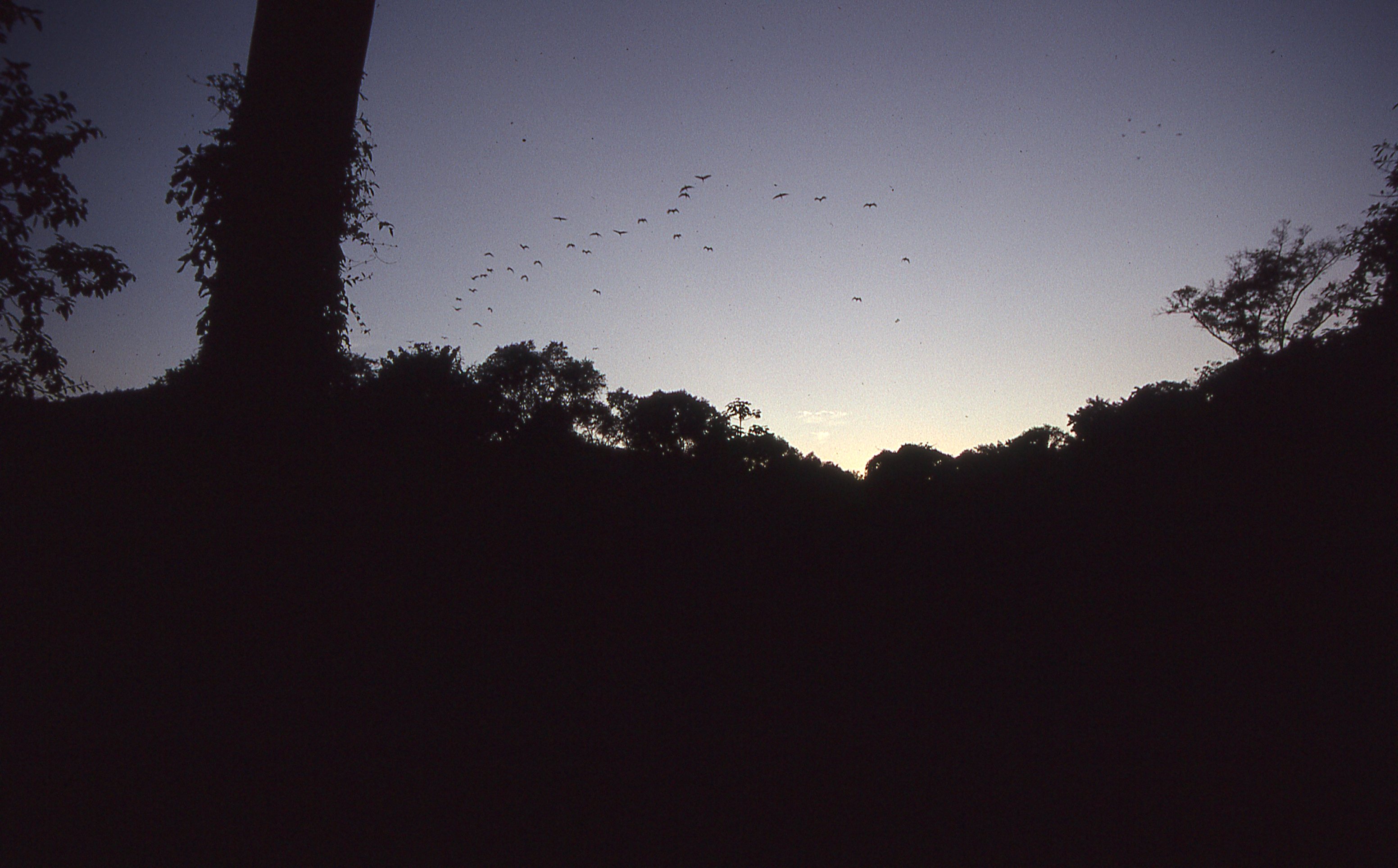 img371.jpg