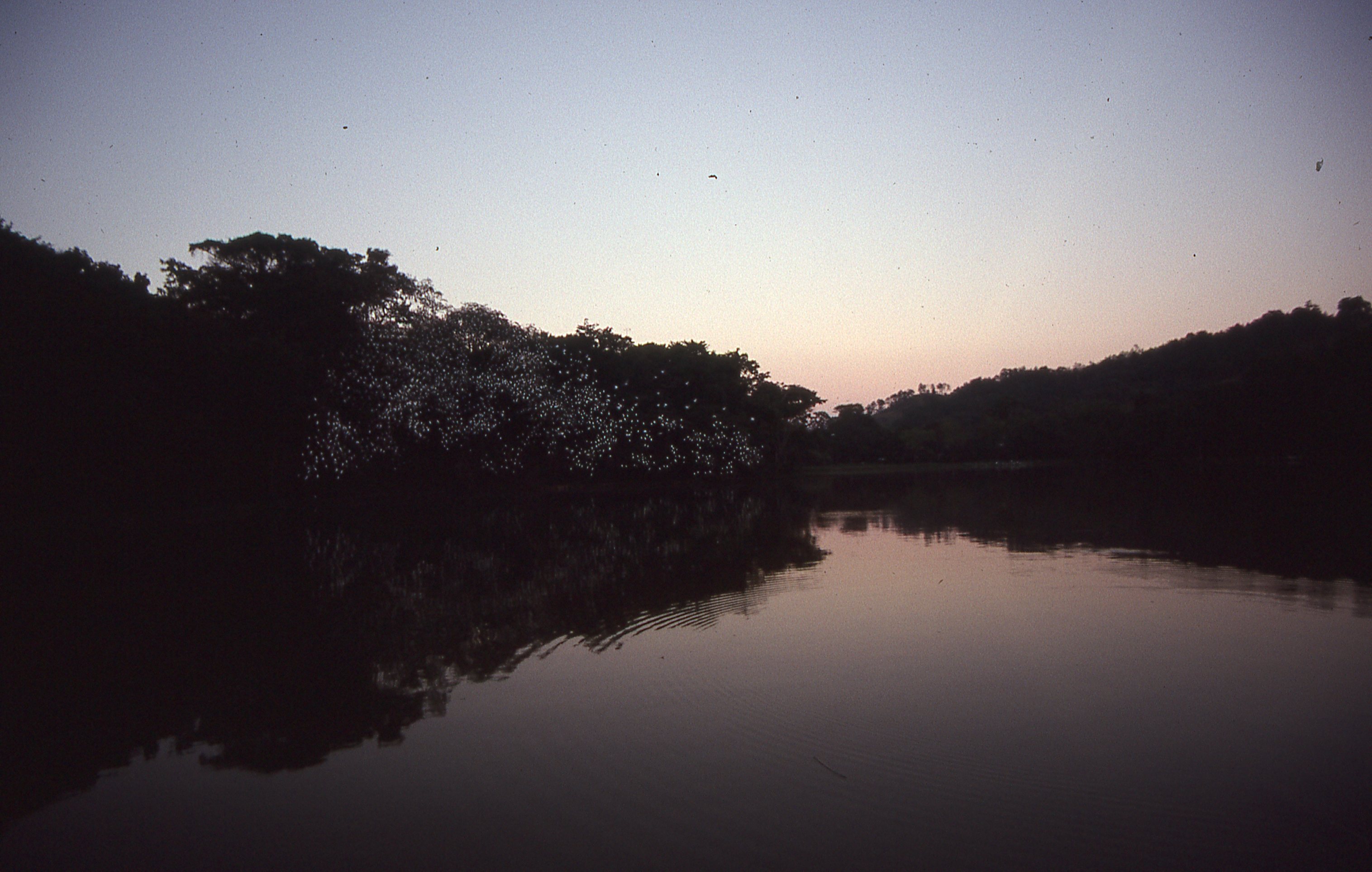 img373.jpg