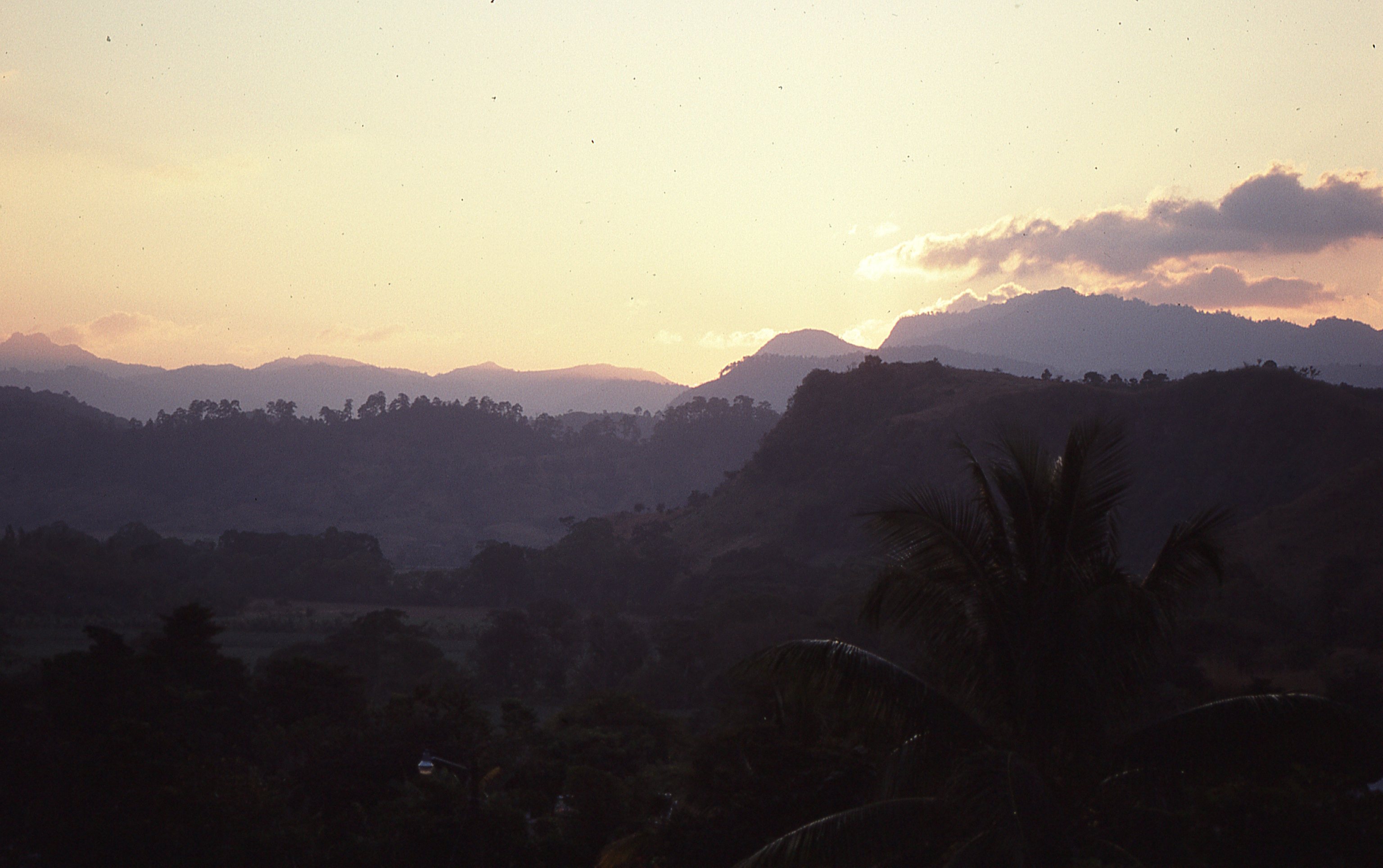 img386.jpg