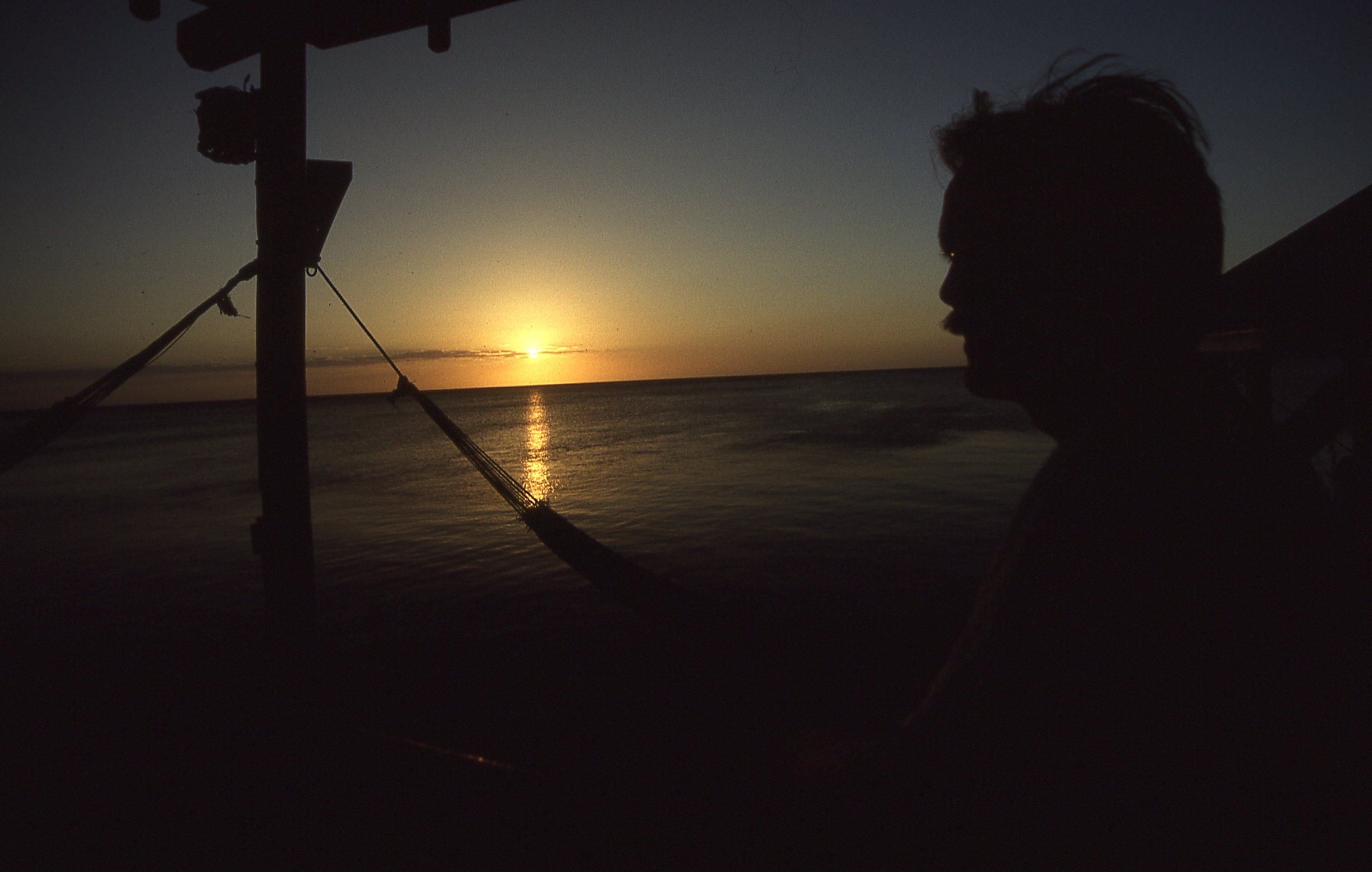 img409.jpg